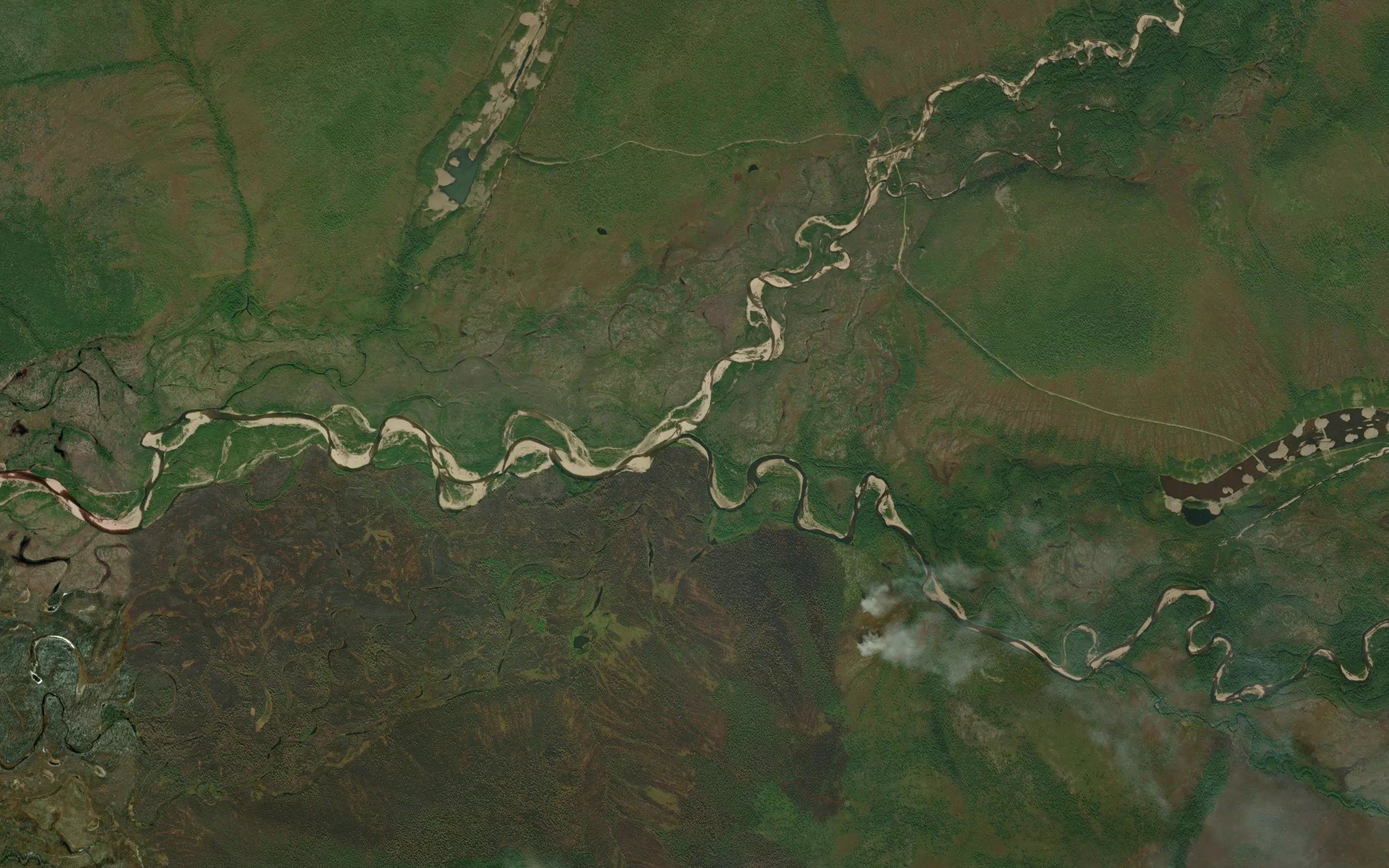 Amakan