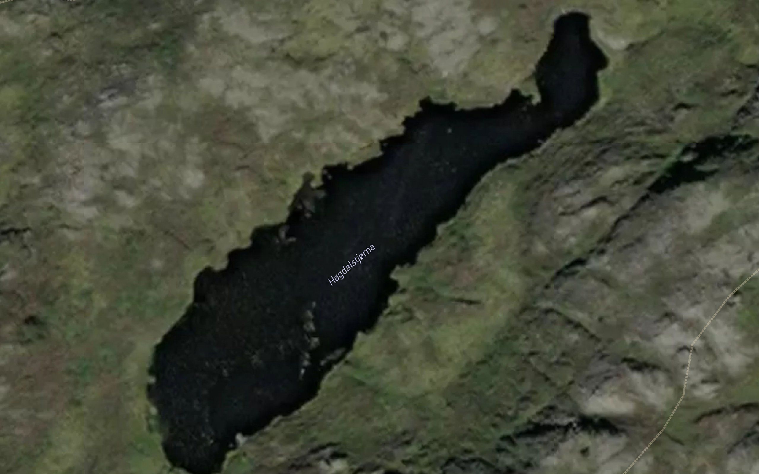 Hogdalstjorna