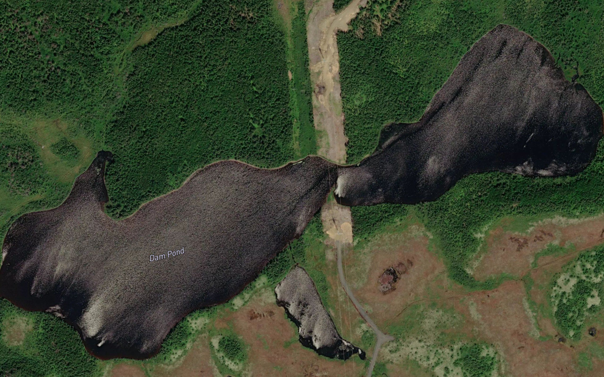 Dam Pond