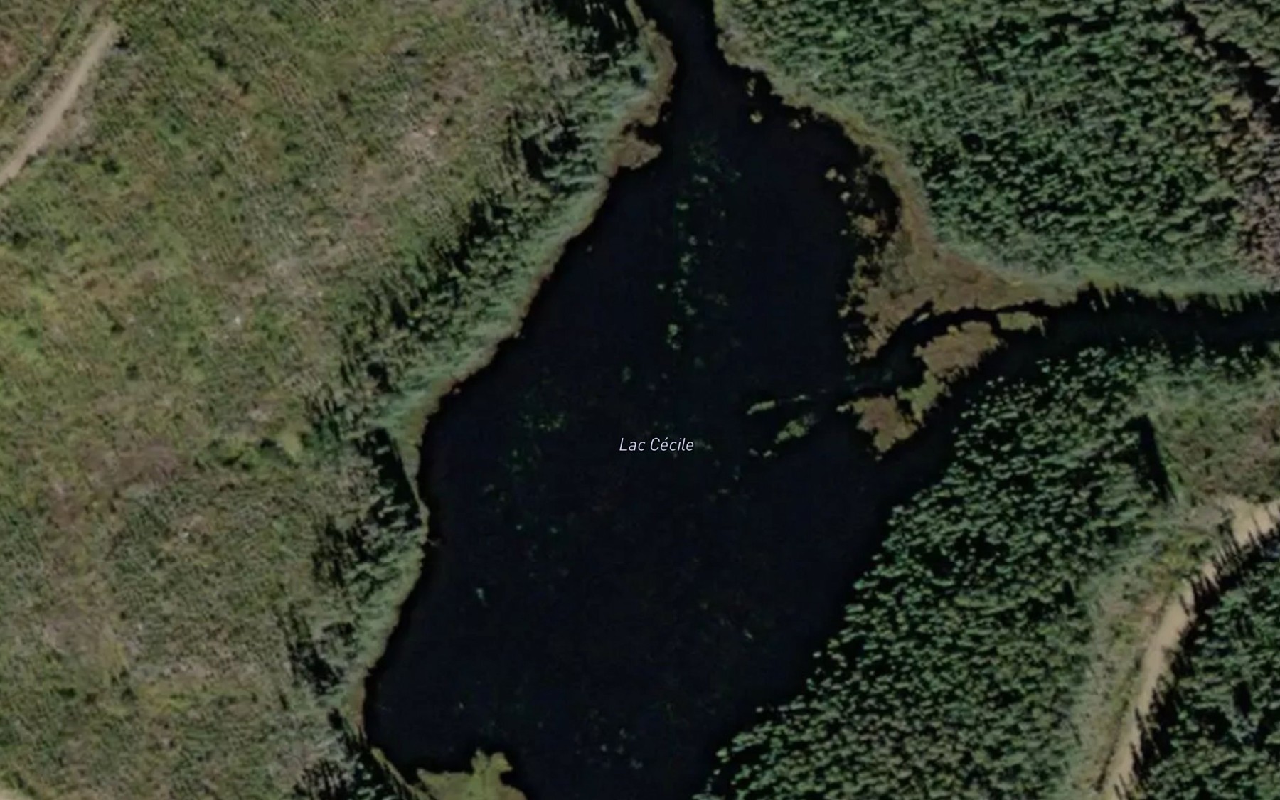 Satellite map of the Lac Cecile