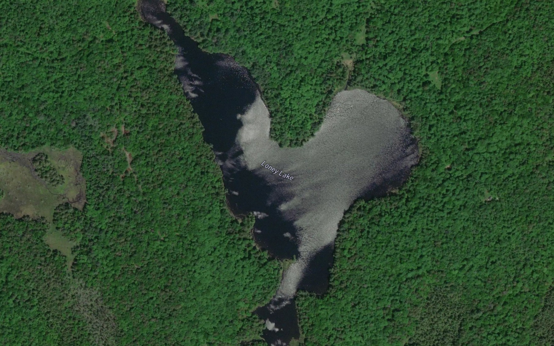 Satellite map of the Loney Lake