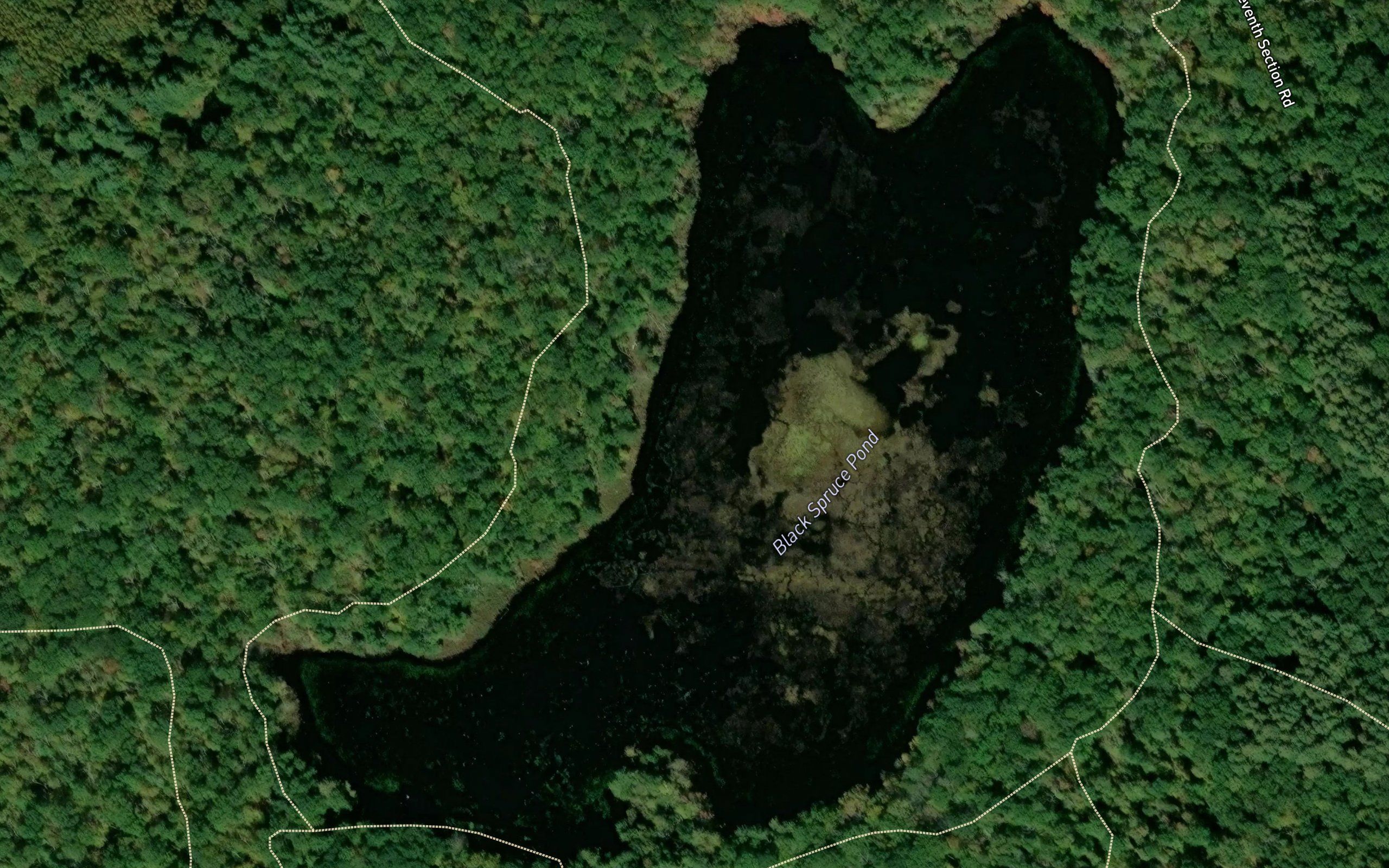 Black Spruce Pond