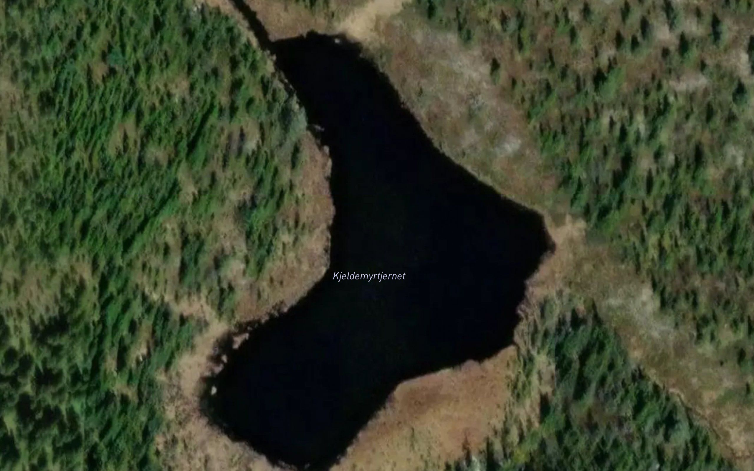 Kjeldemyrvatnet