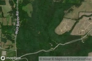 McIntosh Branch Big Creek