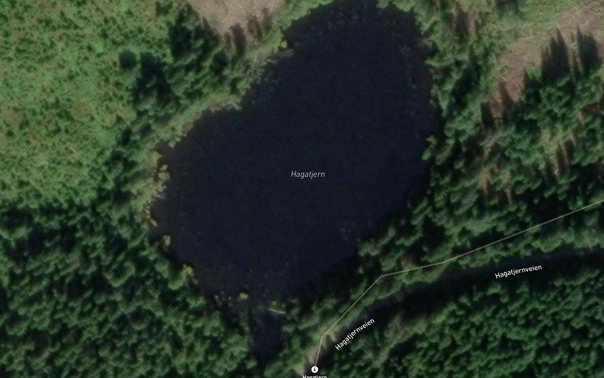 Hagatjern