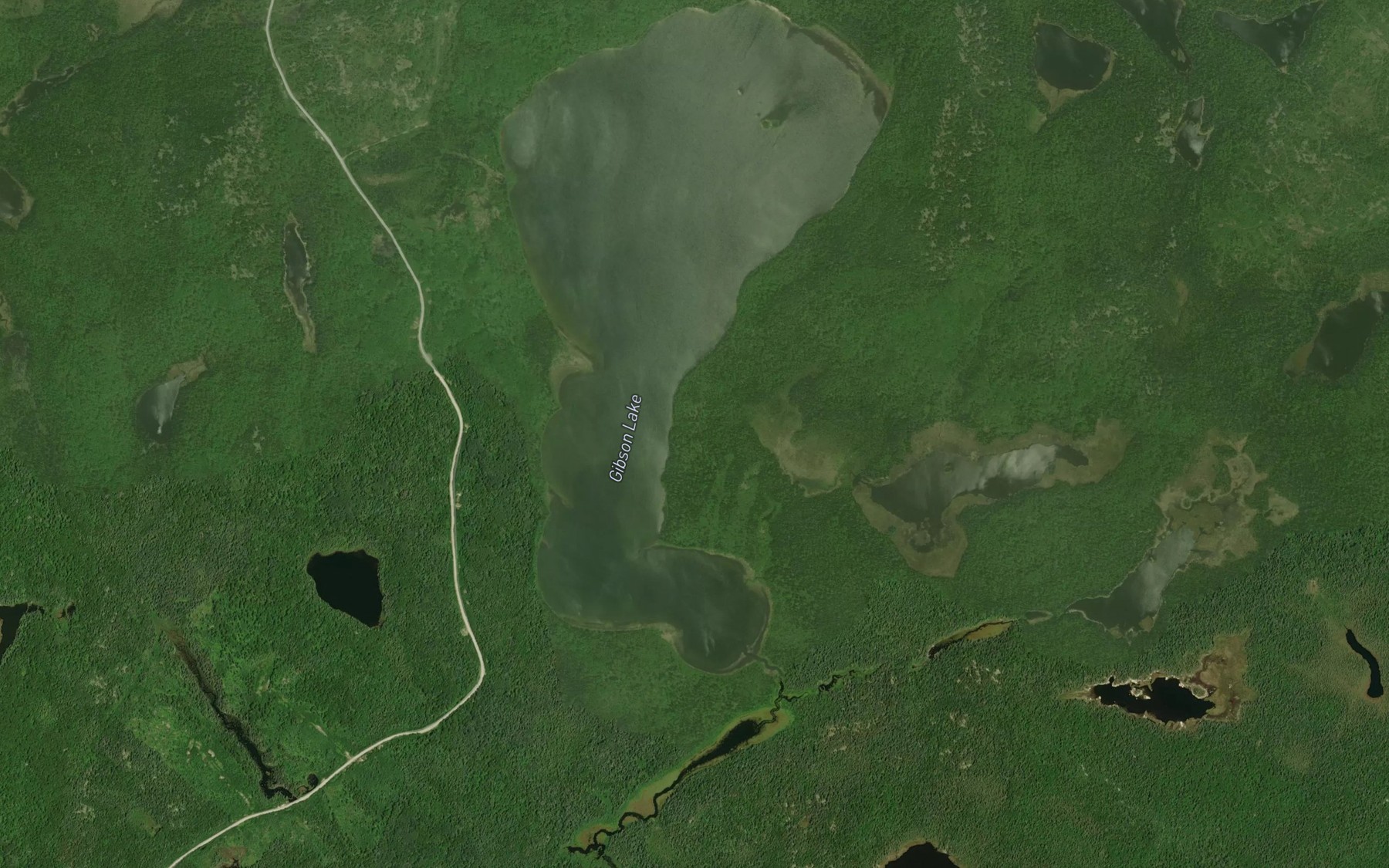 Satellite map of the Gibson Lake