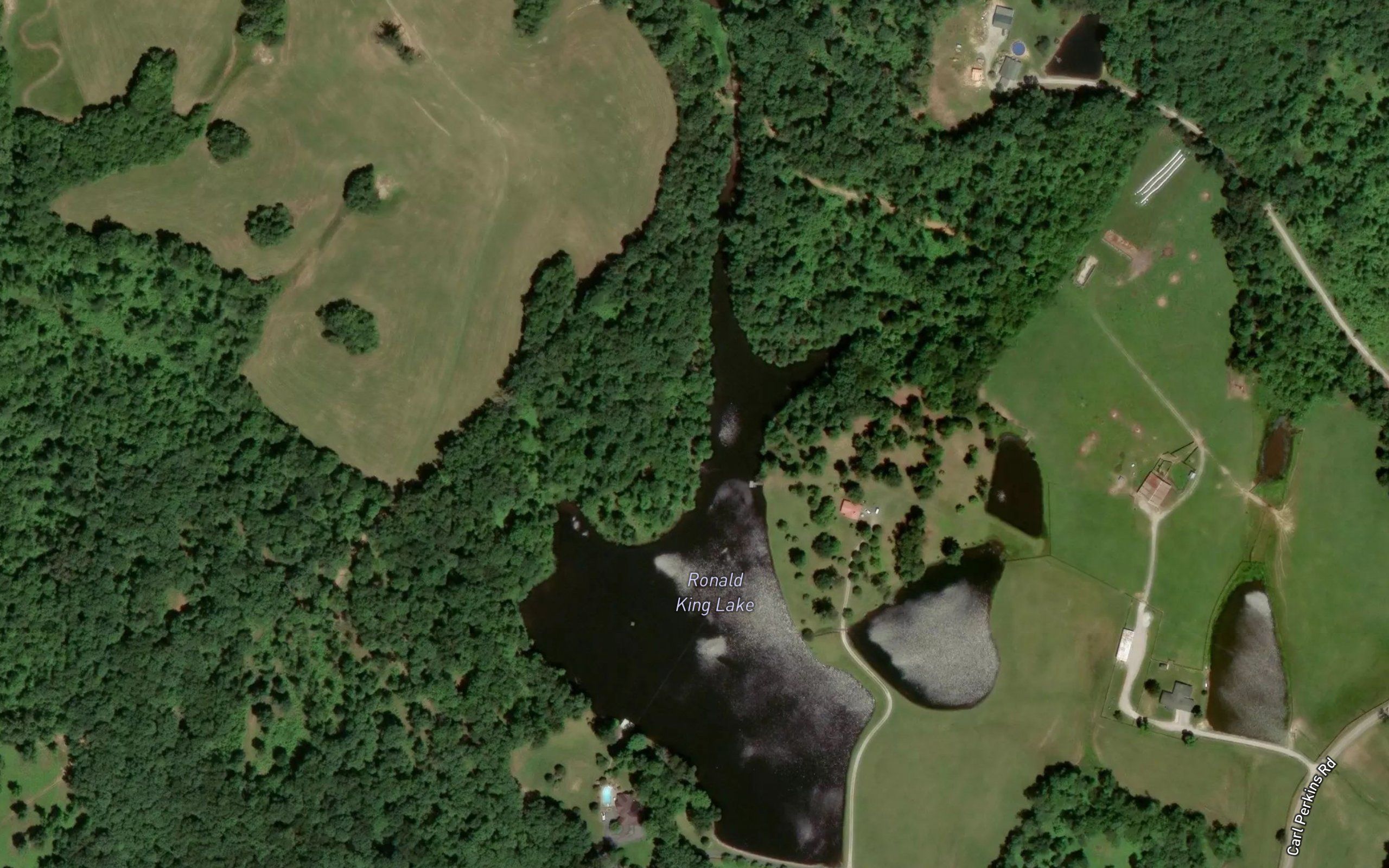 Ronald King Lake
