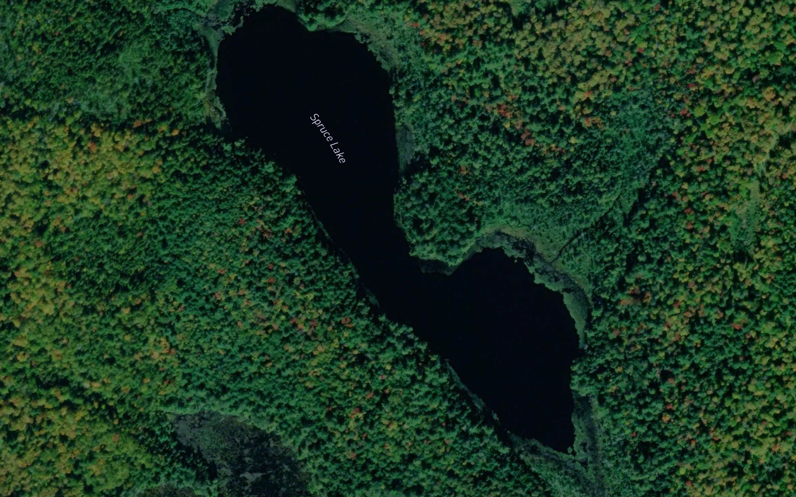 Spruce Lake