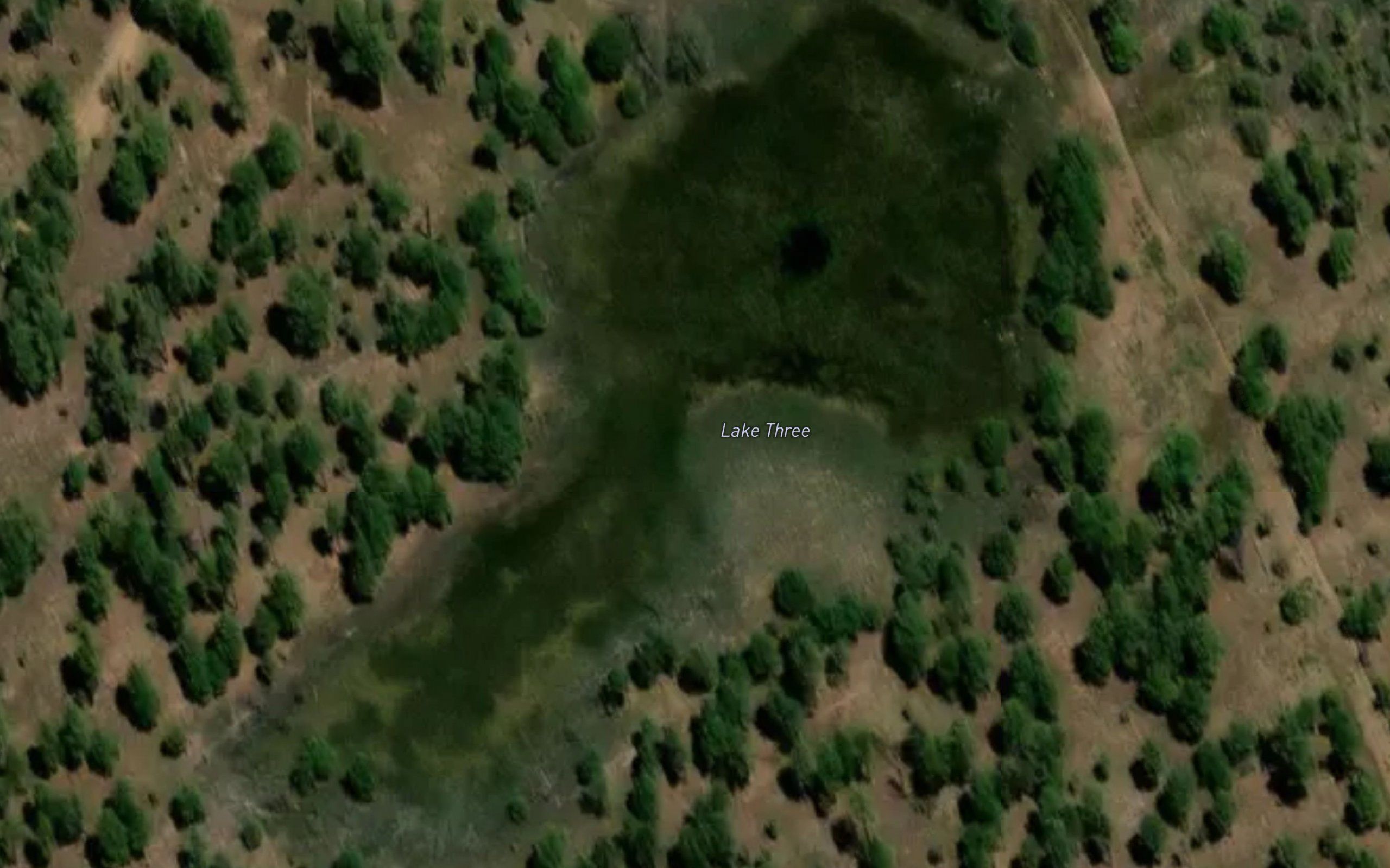 Lake Three