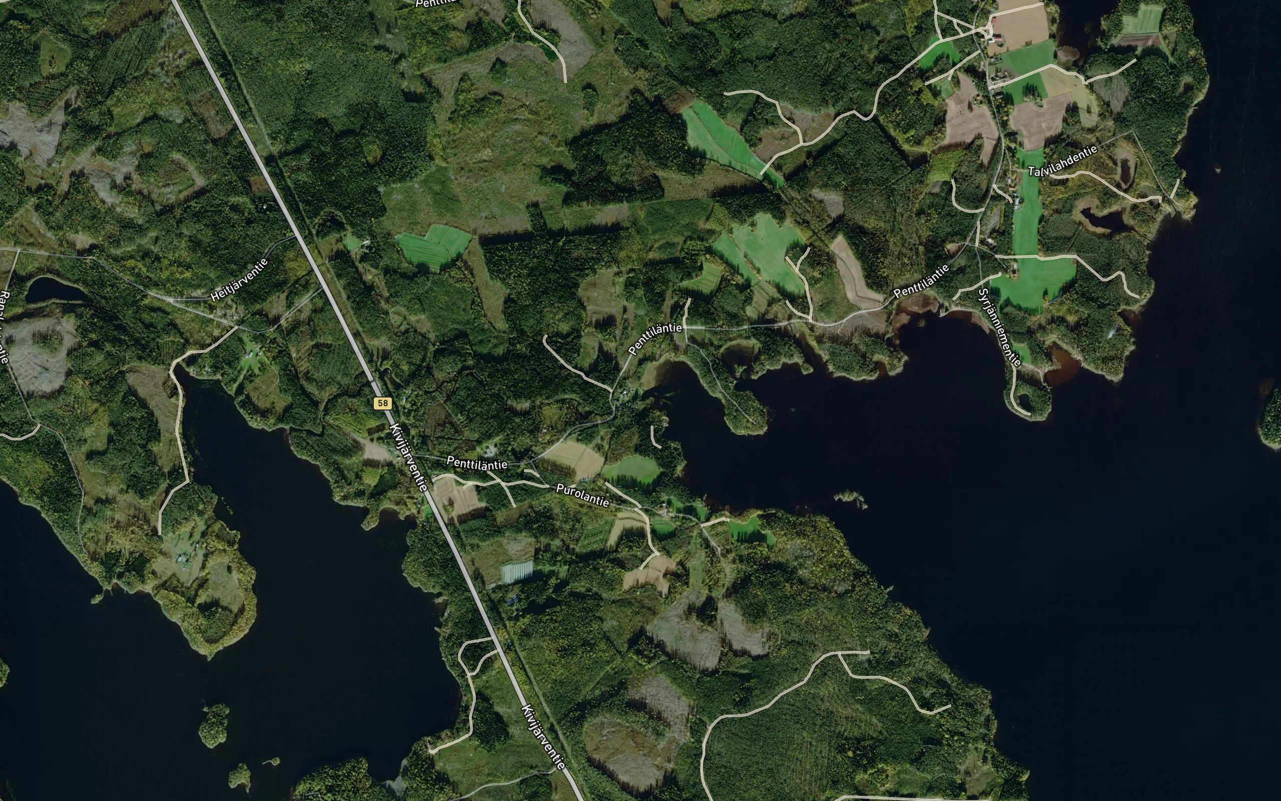 Heitjoki