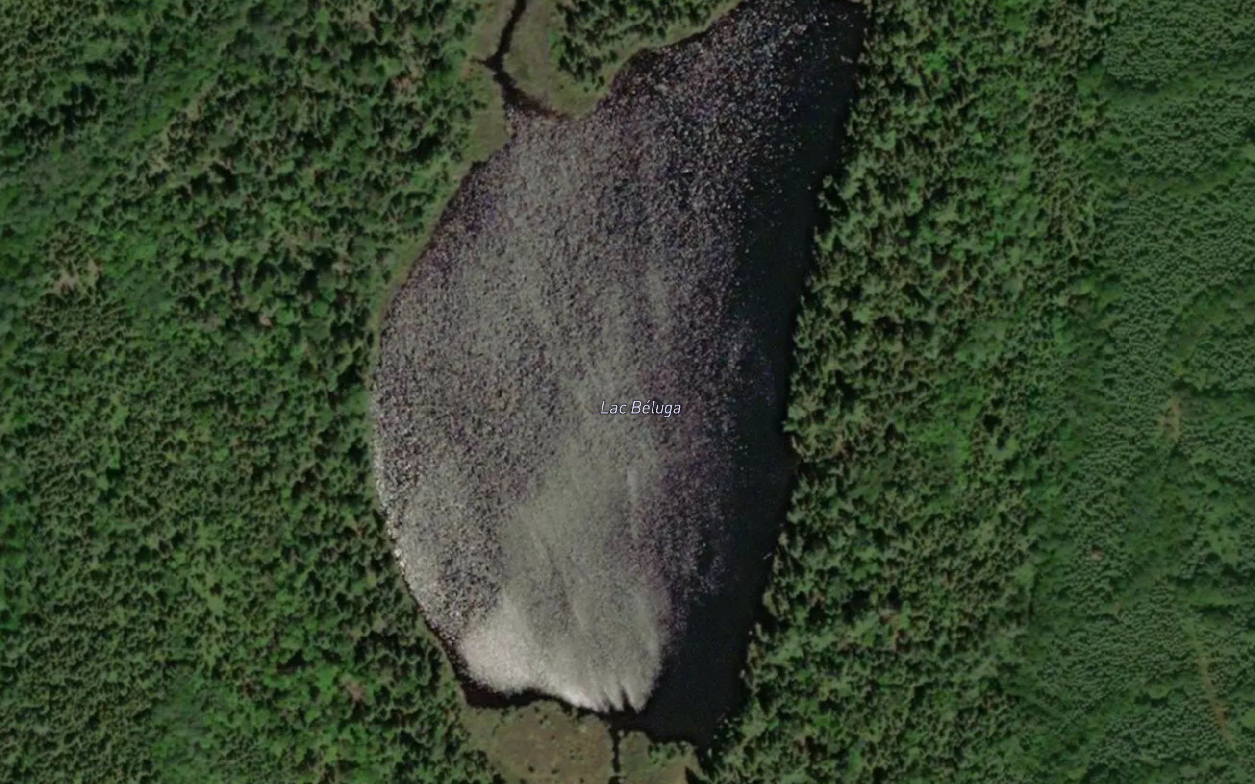 Lac Beluga
