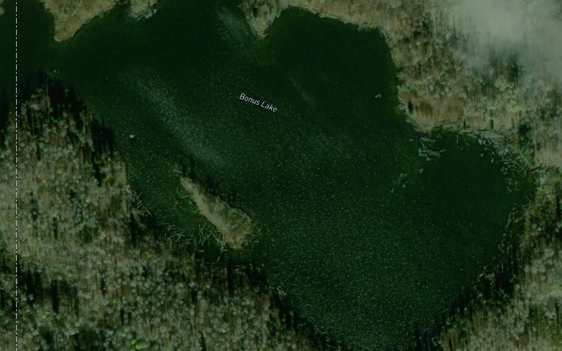Satellite map of the Bonus Lake
