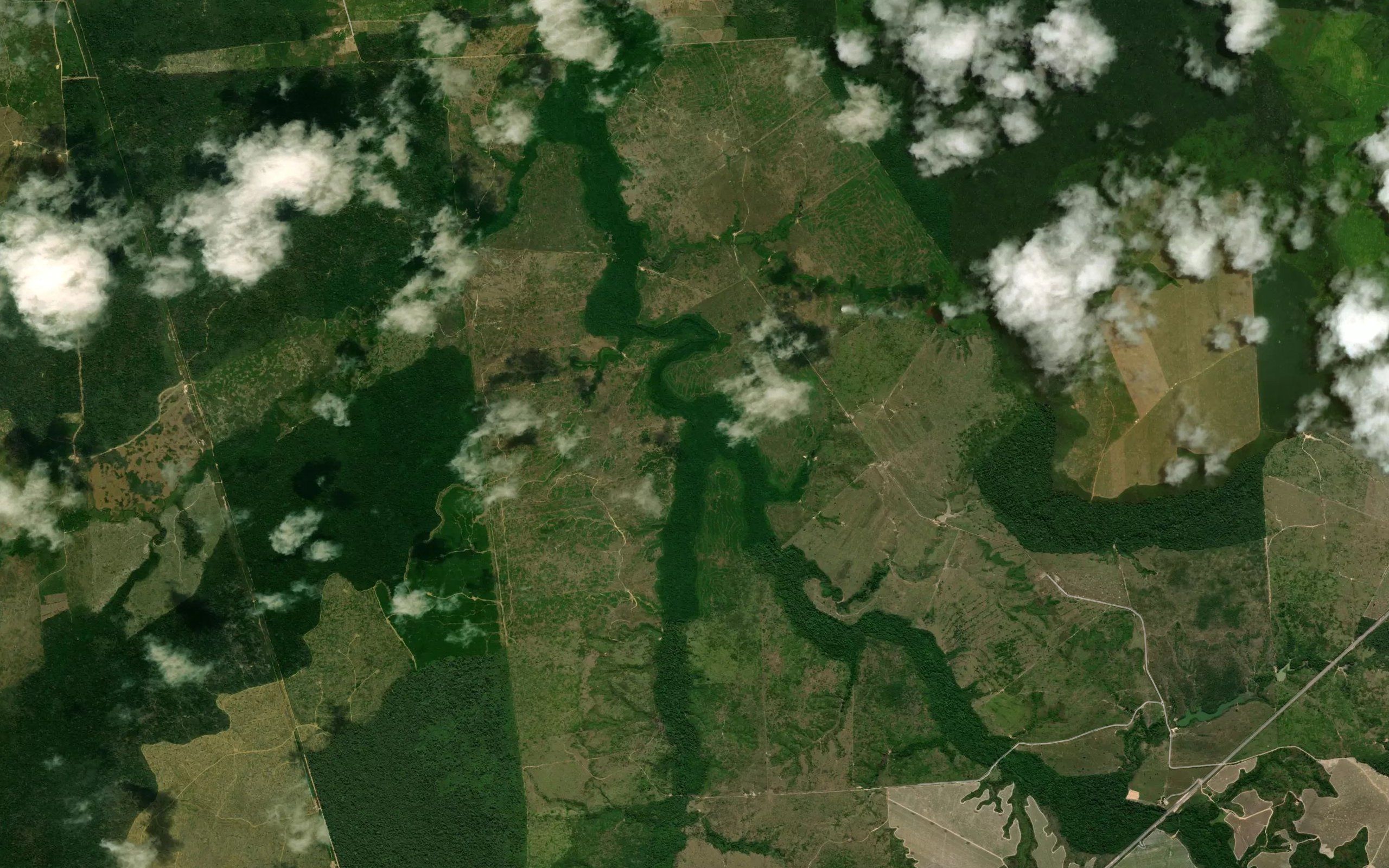 Igarape Patauateua