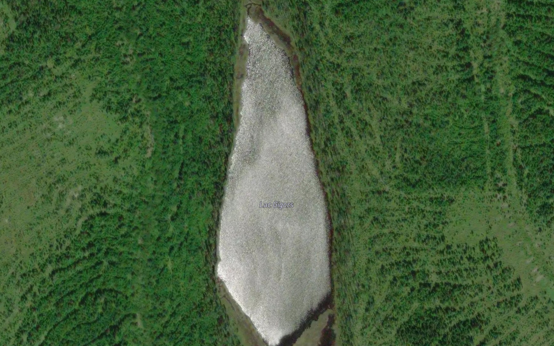 Satellite map of the Lac Gigors