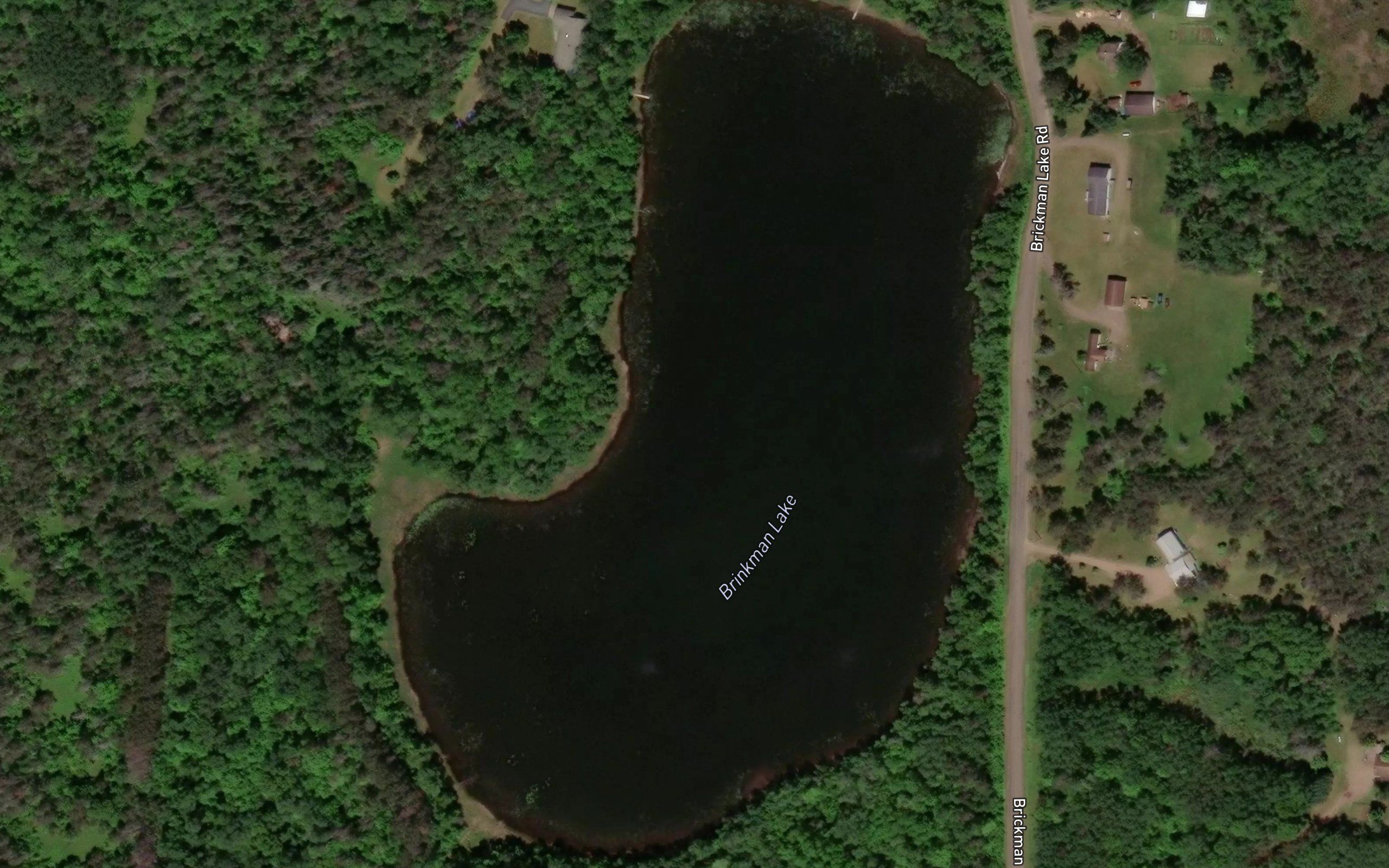 Brinkman Lake