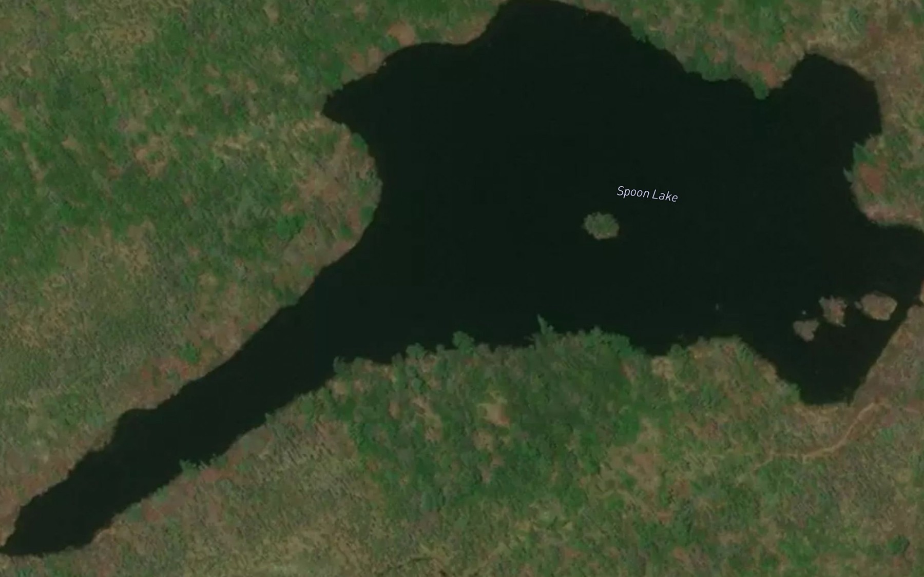Satellite map of the Spoon Lake