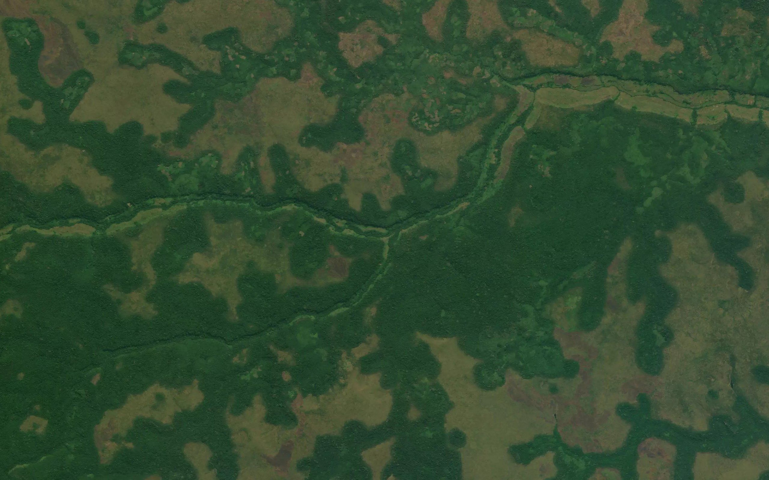 Madimba