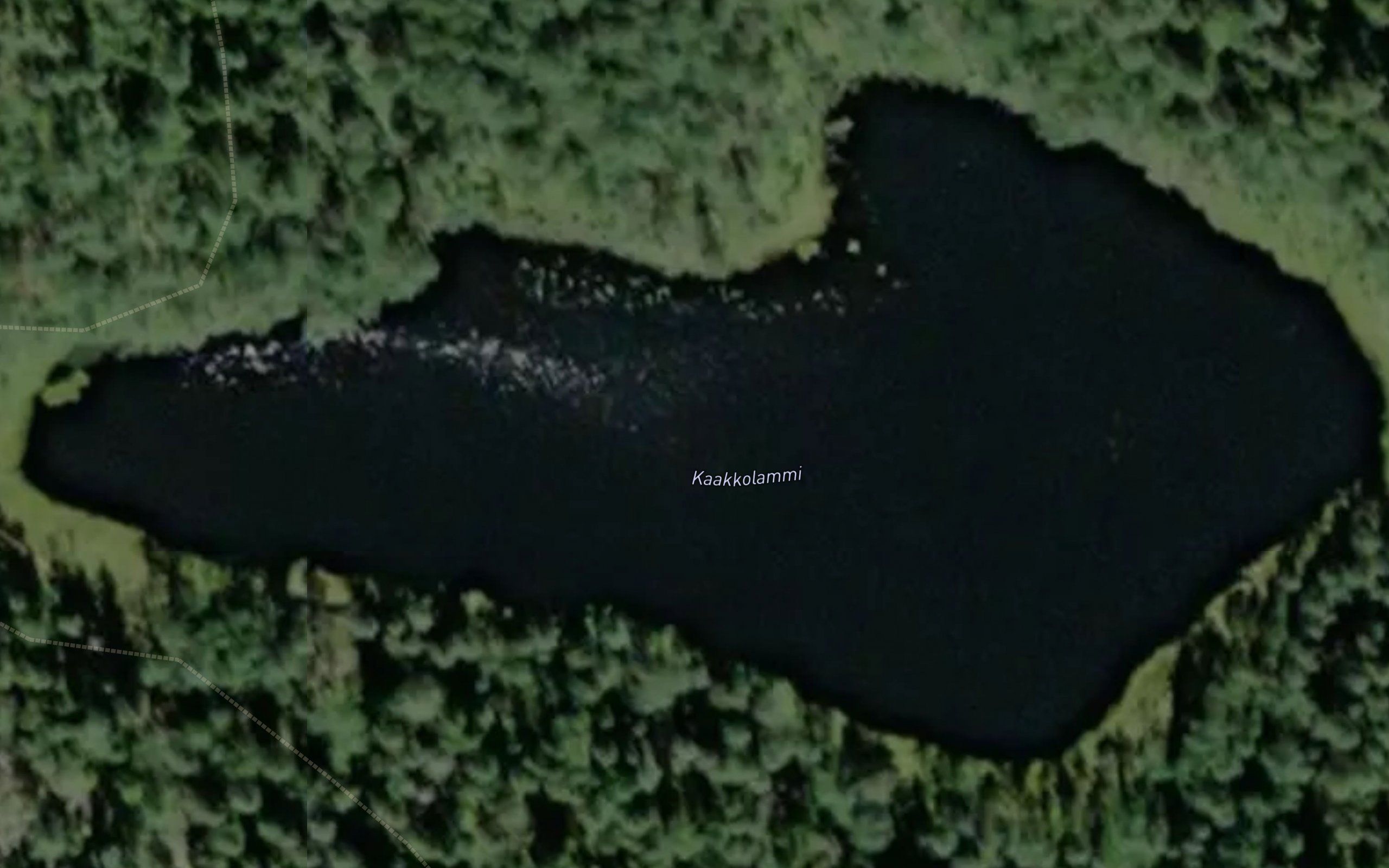 Kaakkolammi
