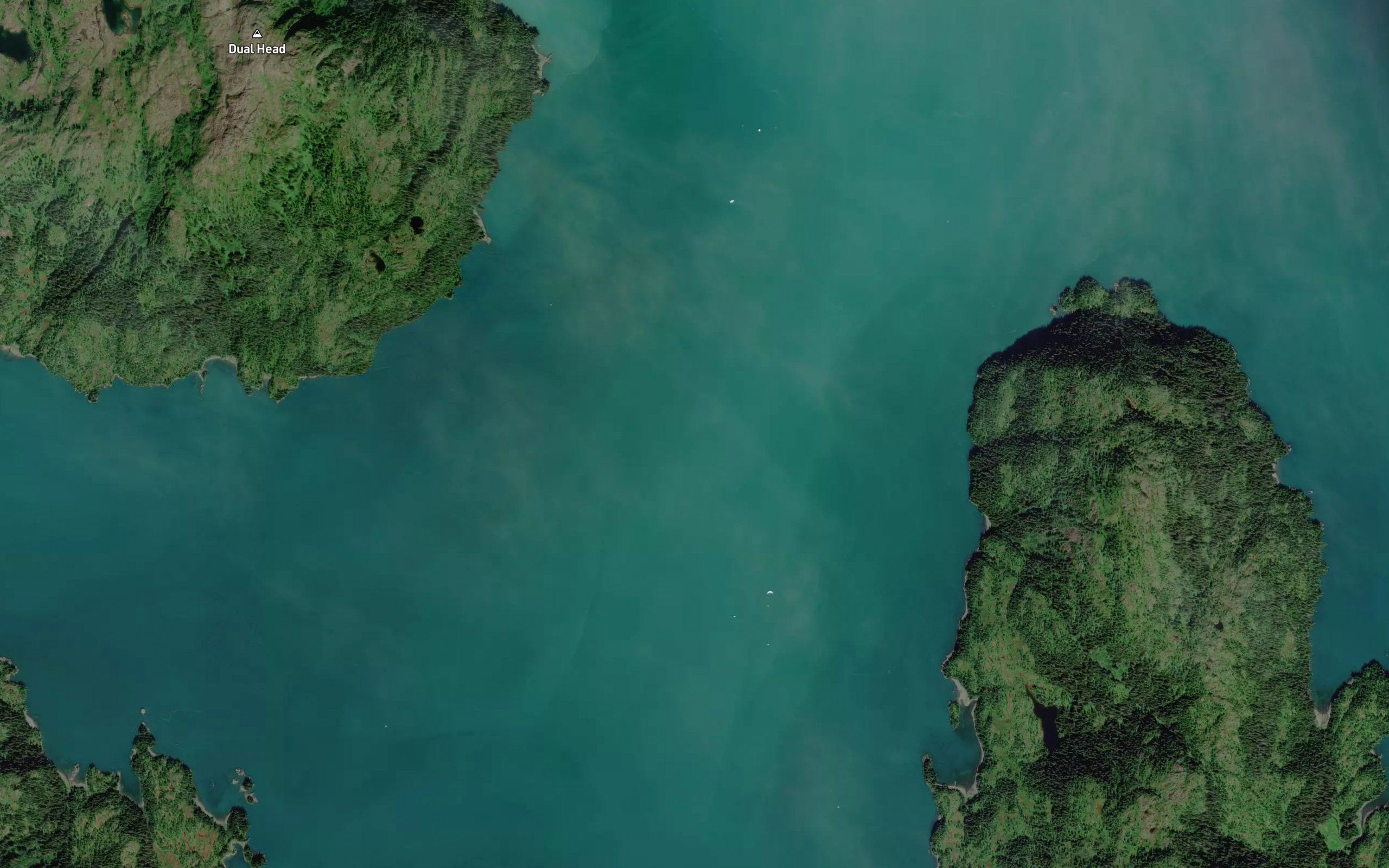 Whale Bay