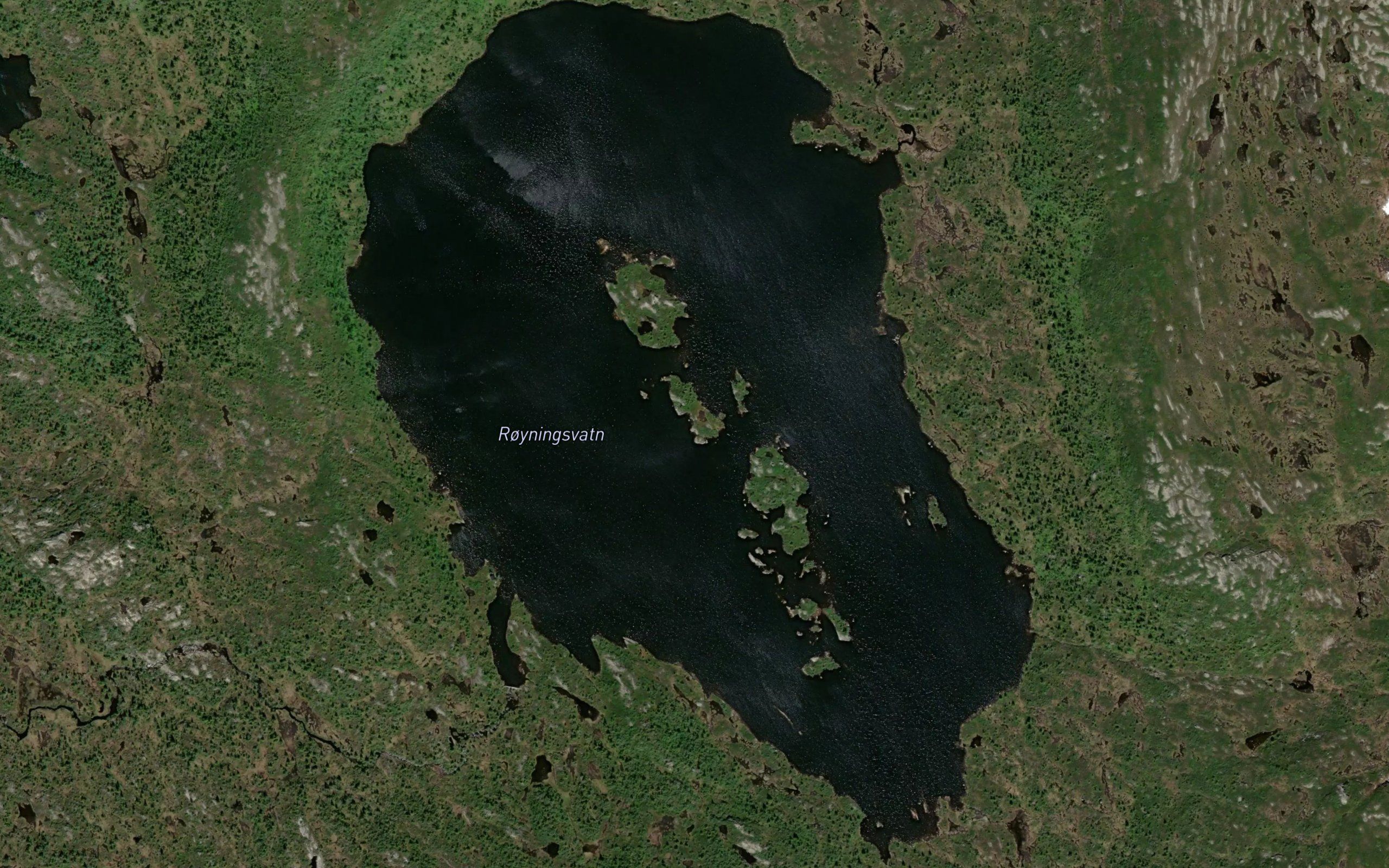 Royningvatn