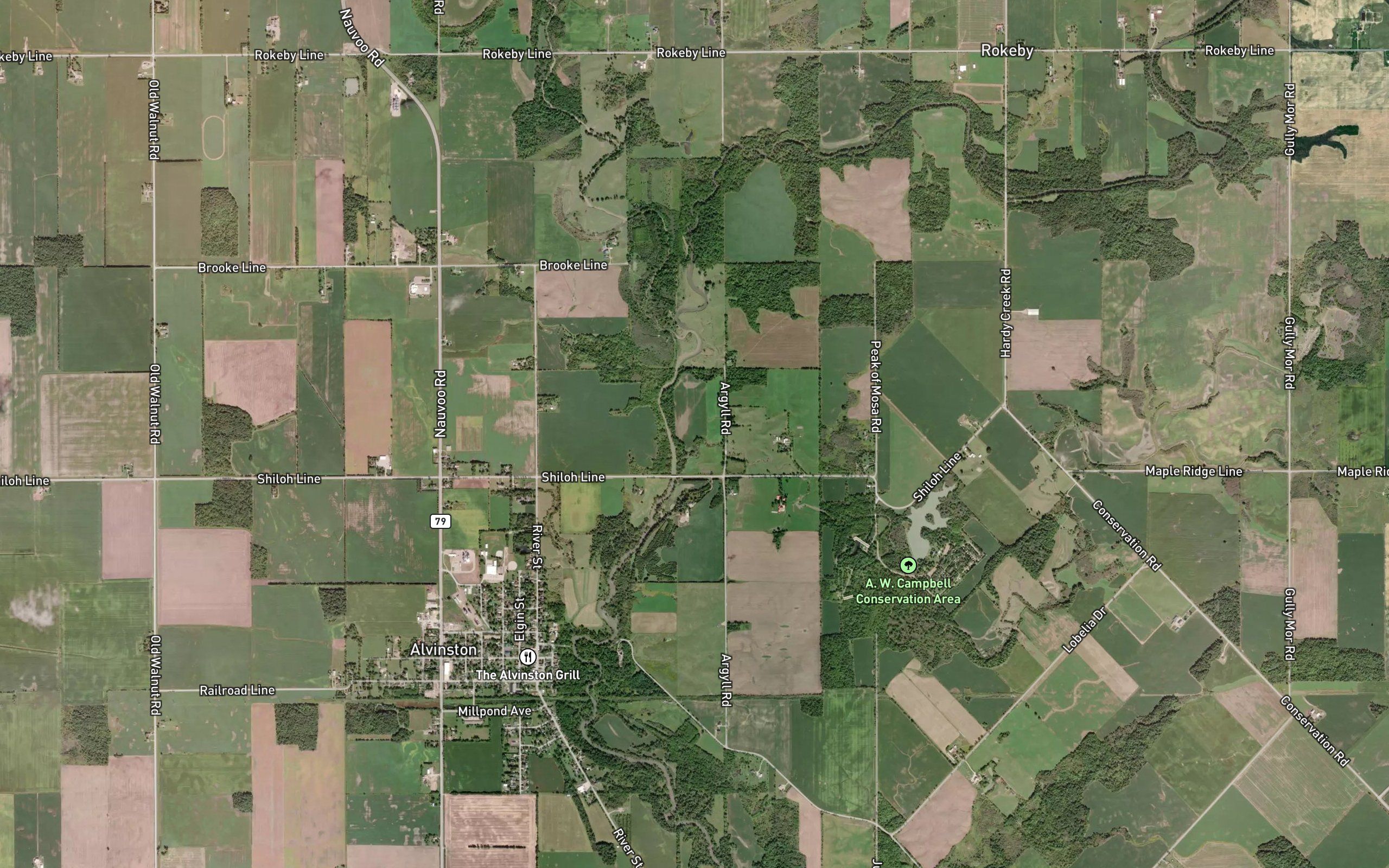 Morrogh Creek