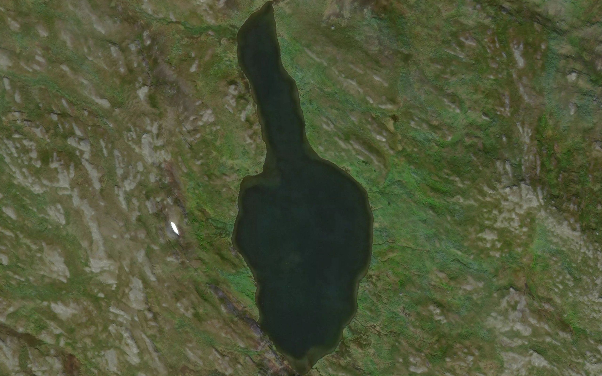 Plistertjornan