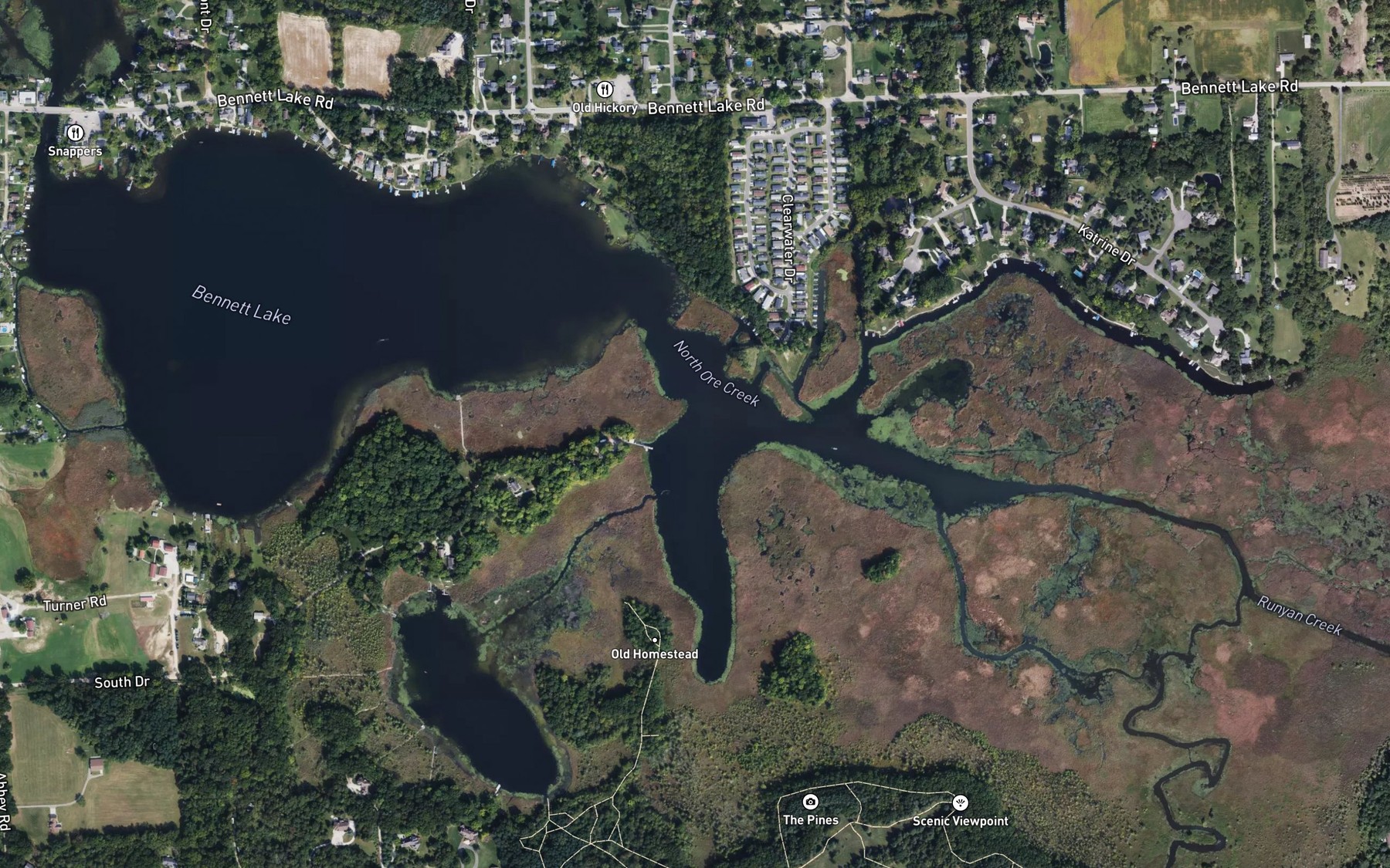 Satellite map of the Bennett Lake