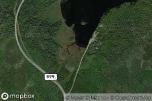 Trout Creek