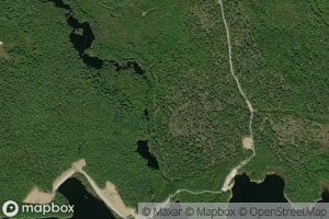 Harris Meadow Brook