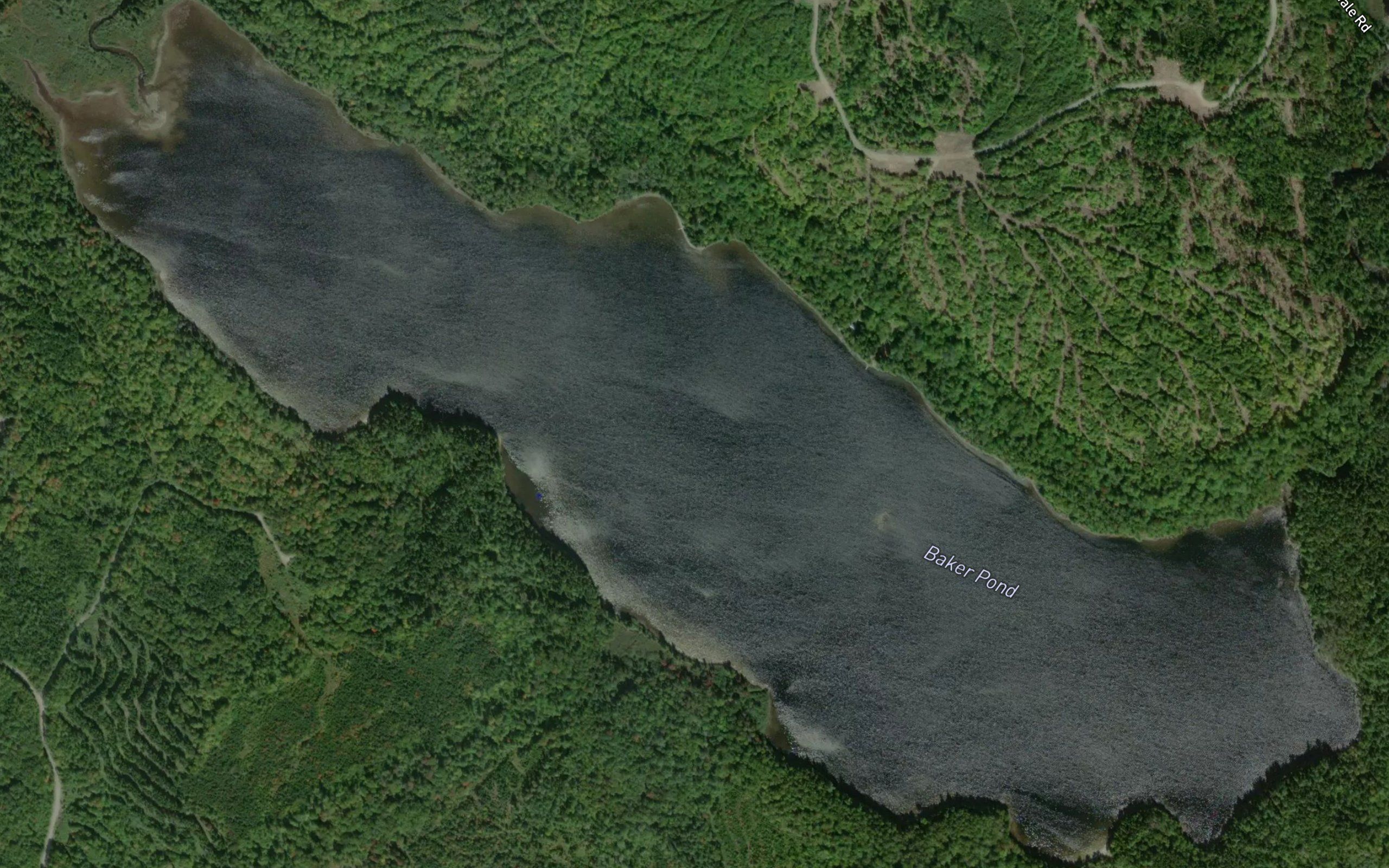 Baker Pond