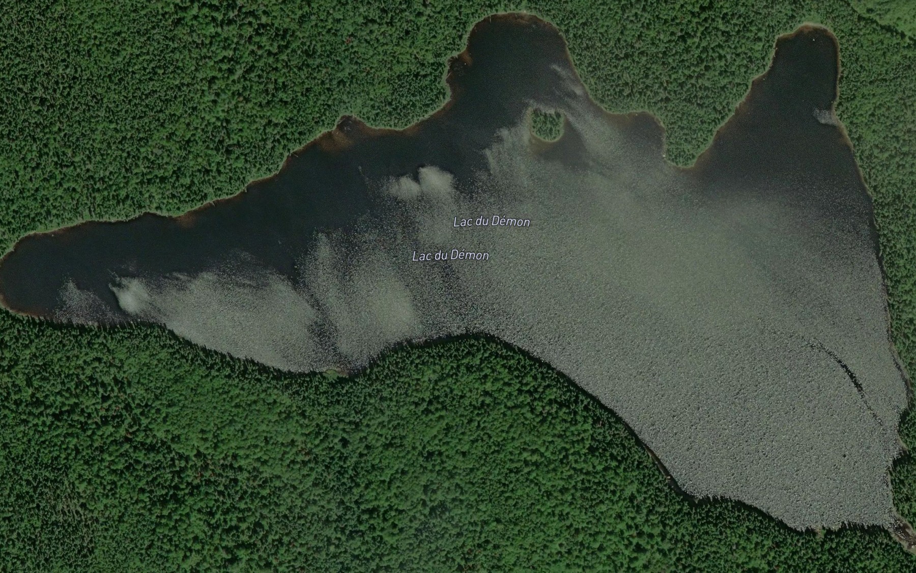 Satellite map of the Lac du Demon