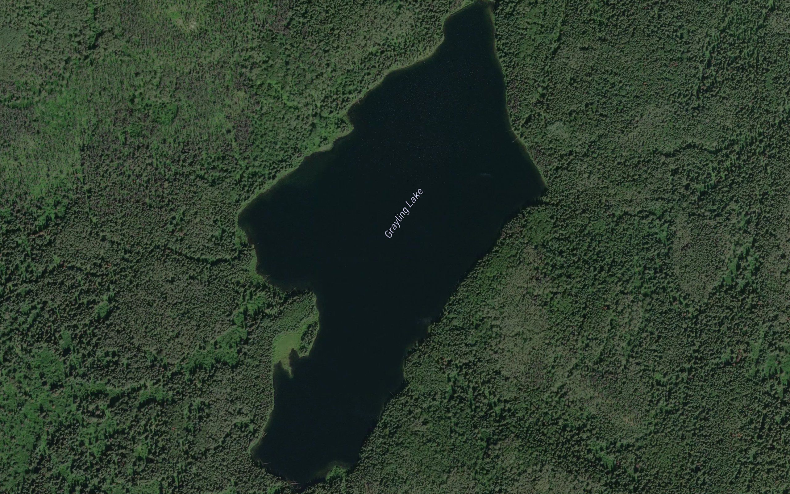 Grayling Lake