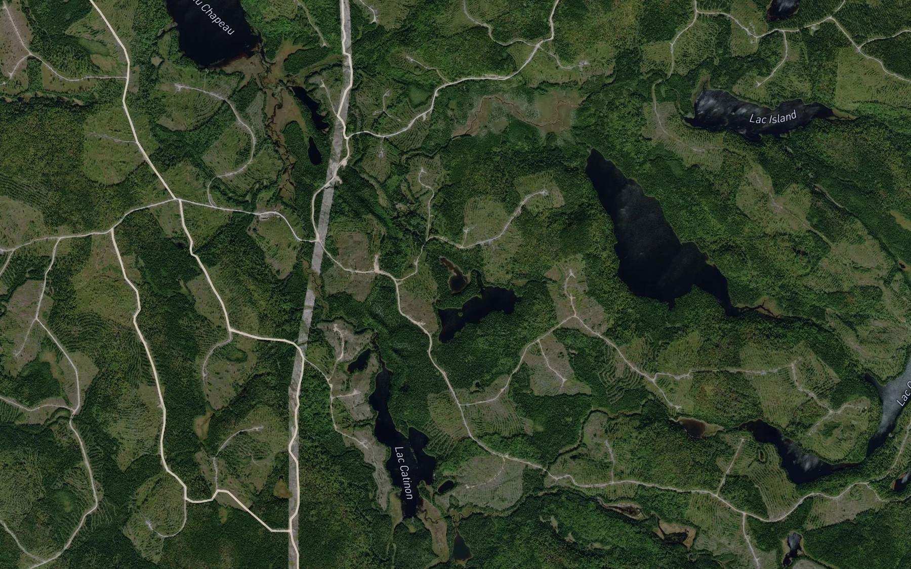 Satellite map of the Lac Cadillac