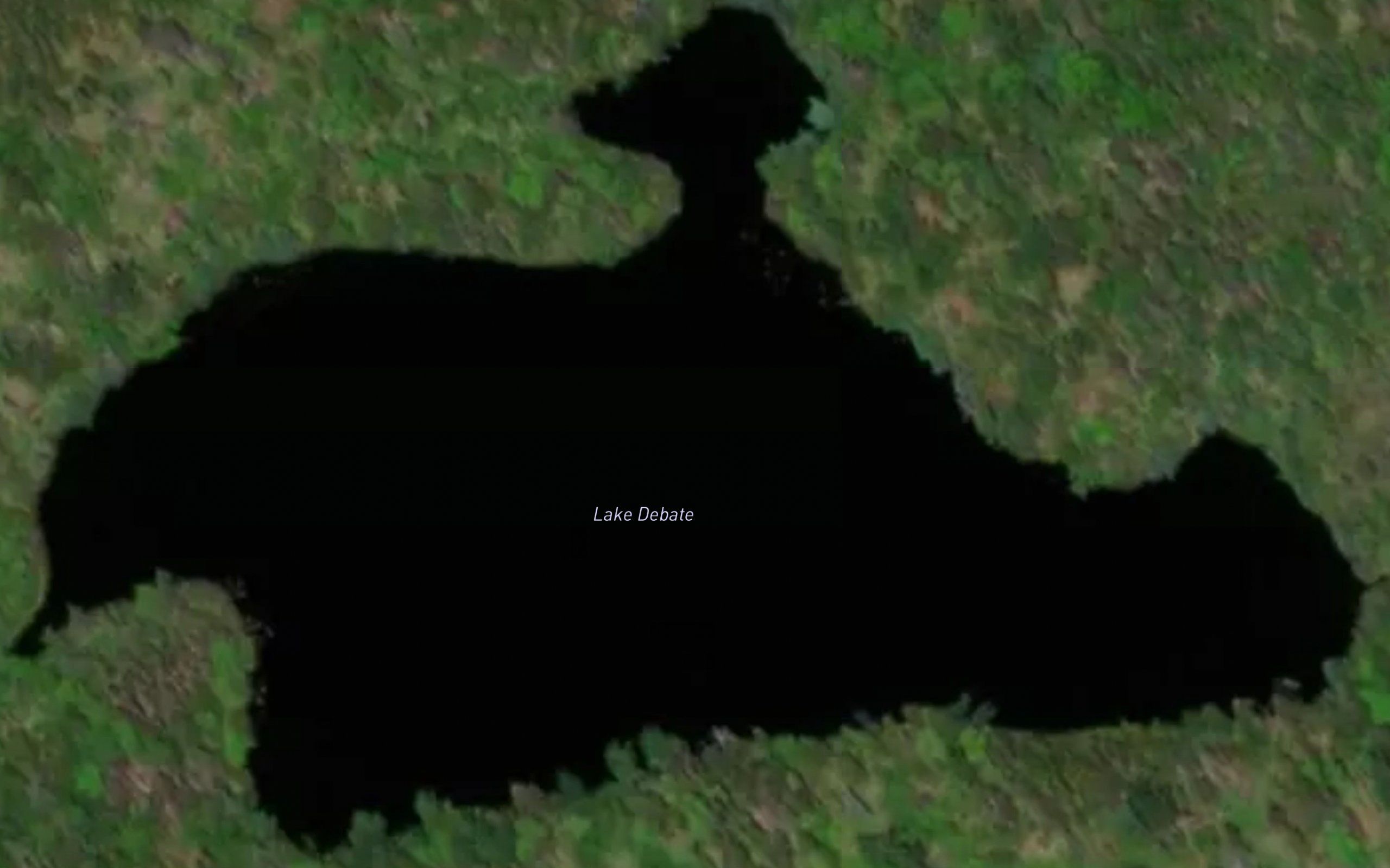 Lake Debate