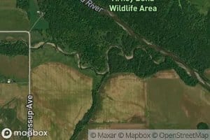 Little Minerva Branch