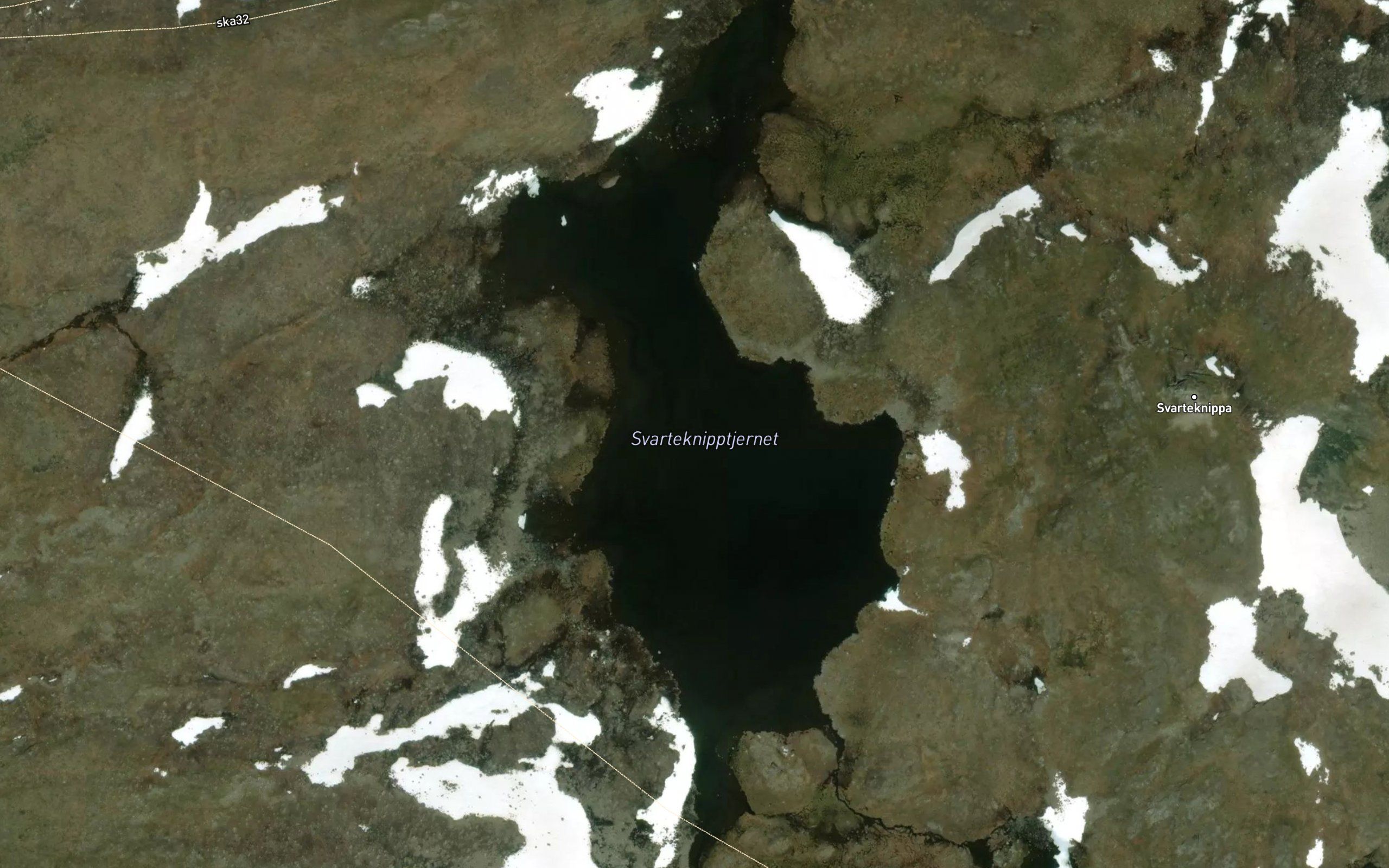 Svarteknipptjernet