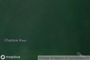 Choptank River