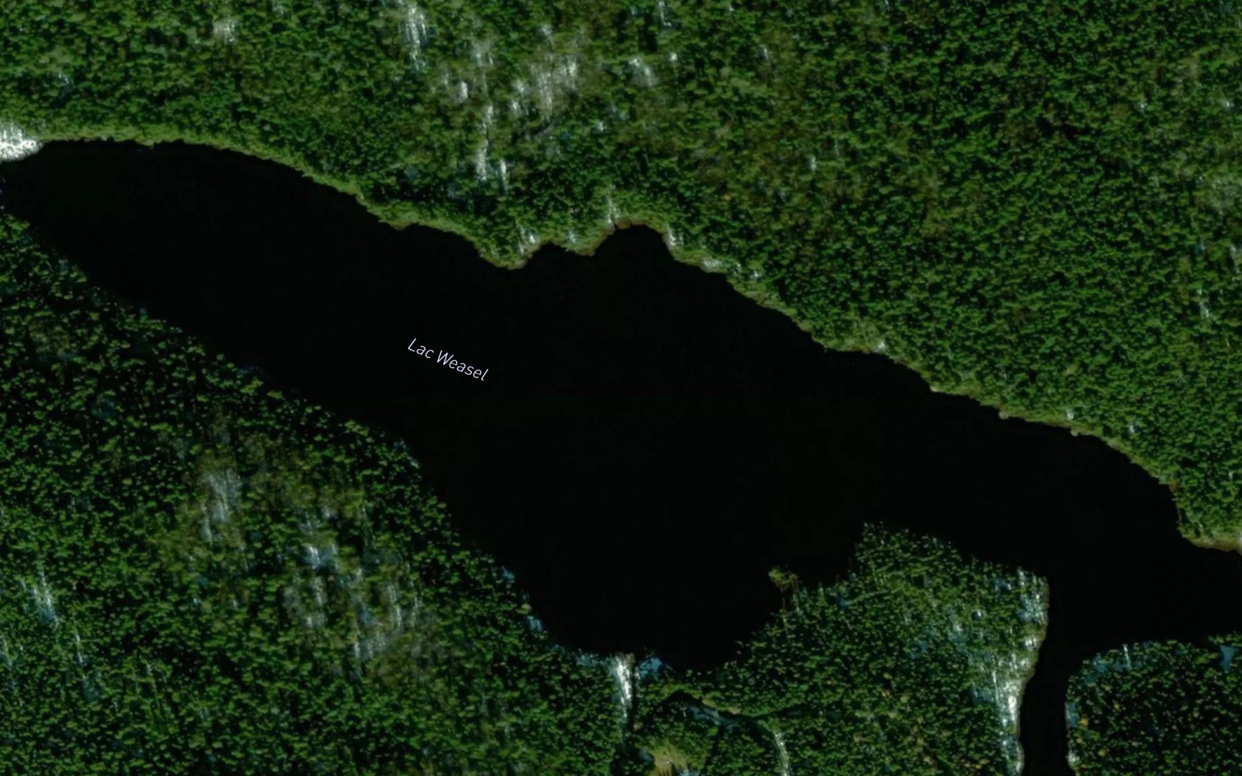 Satellite map of the Lac Weasel