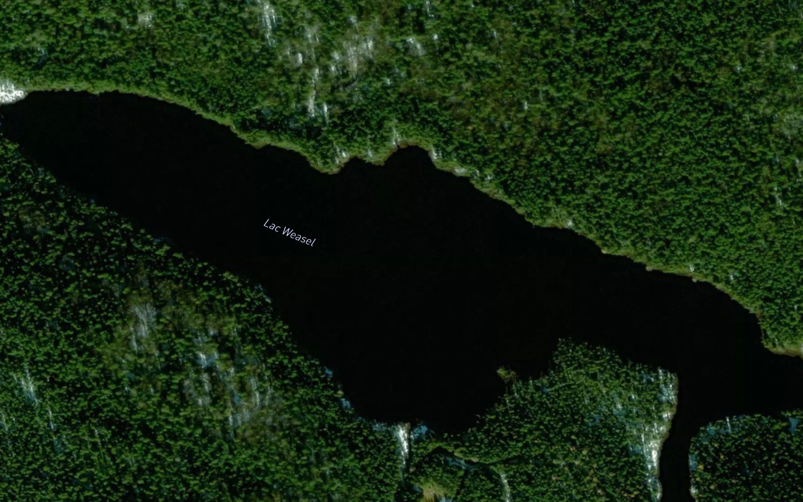 Lac Weasel