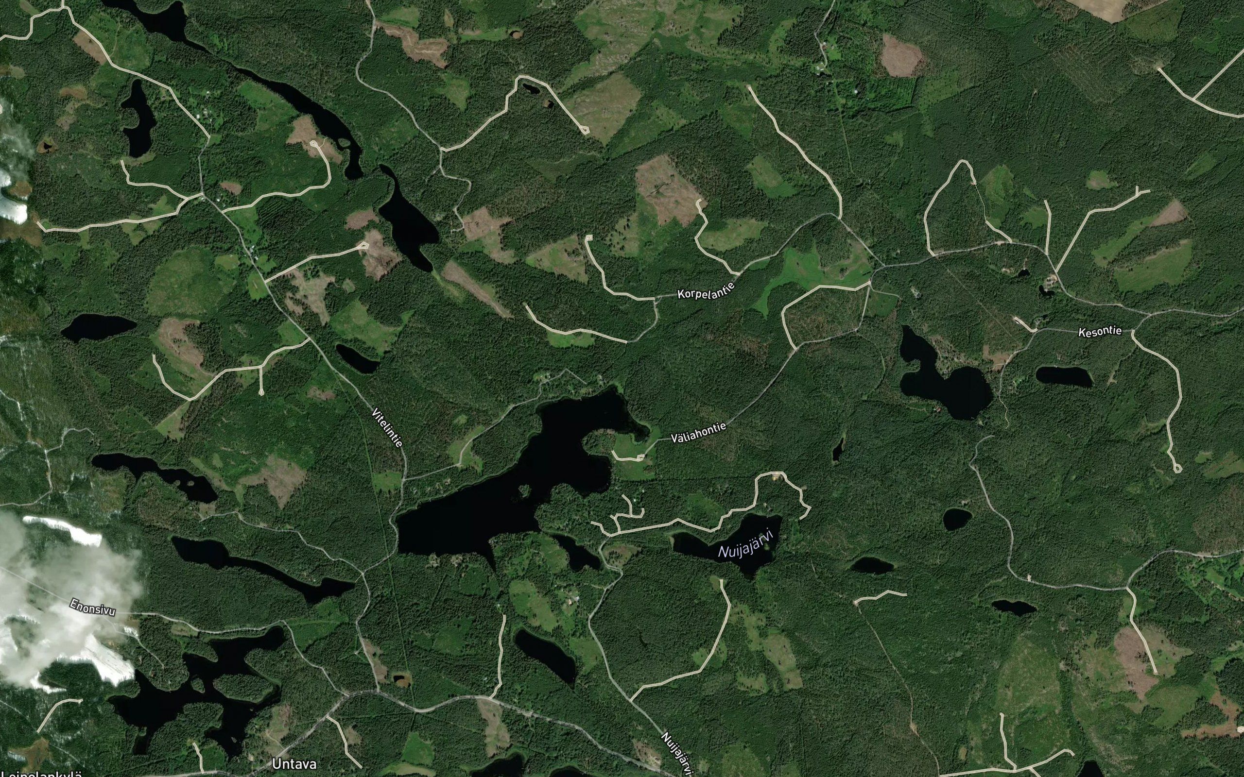 Vitelijarvenoja