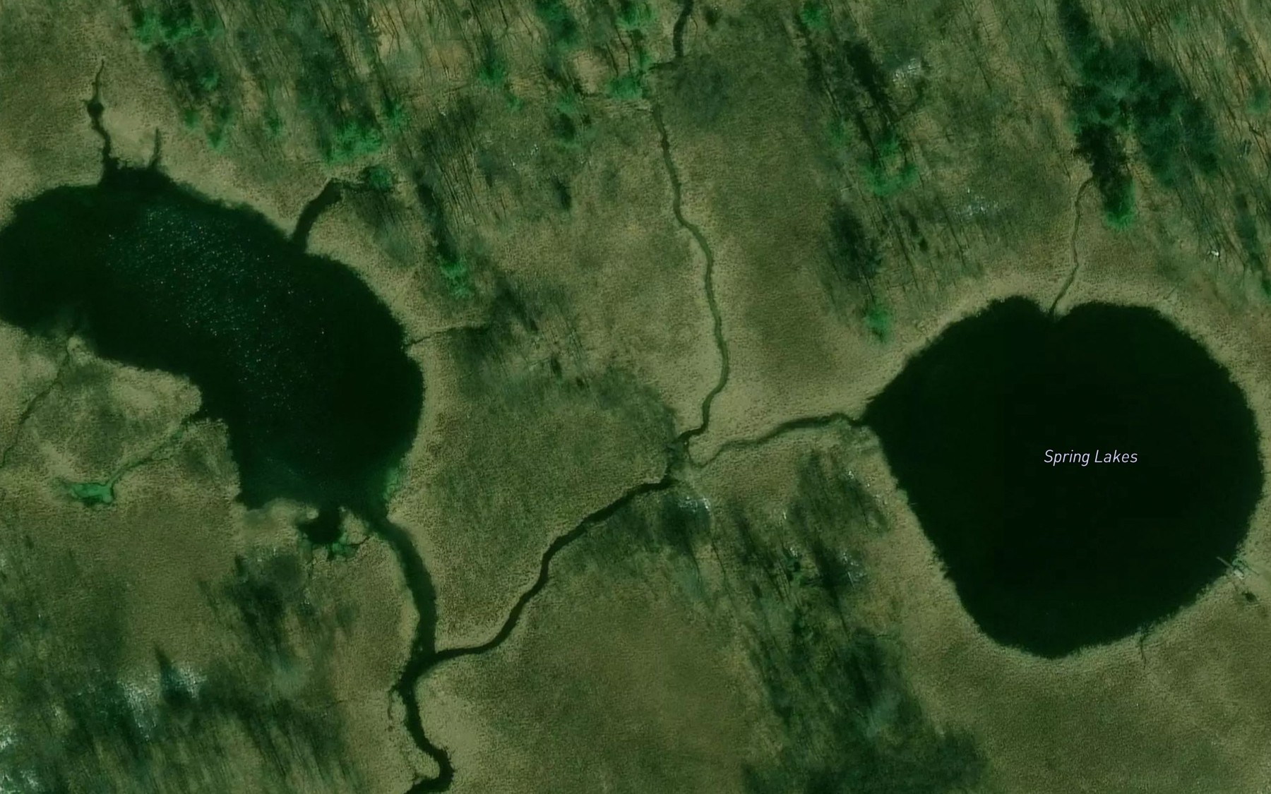 Satellite map of the Spring Lakes