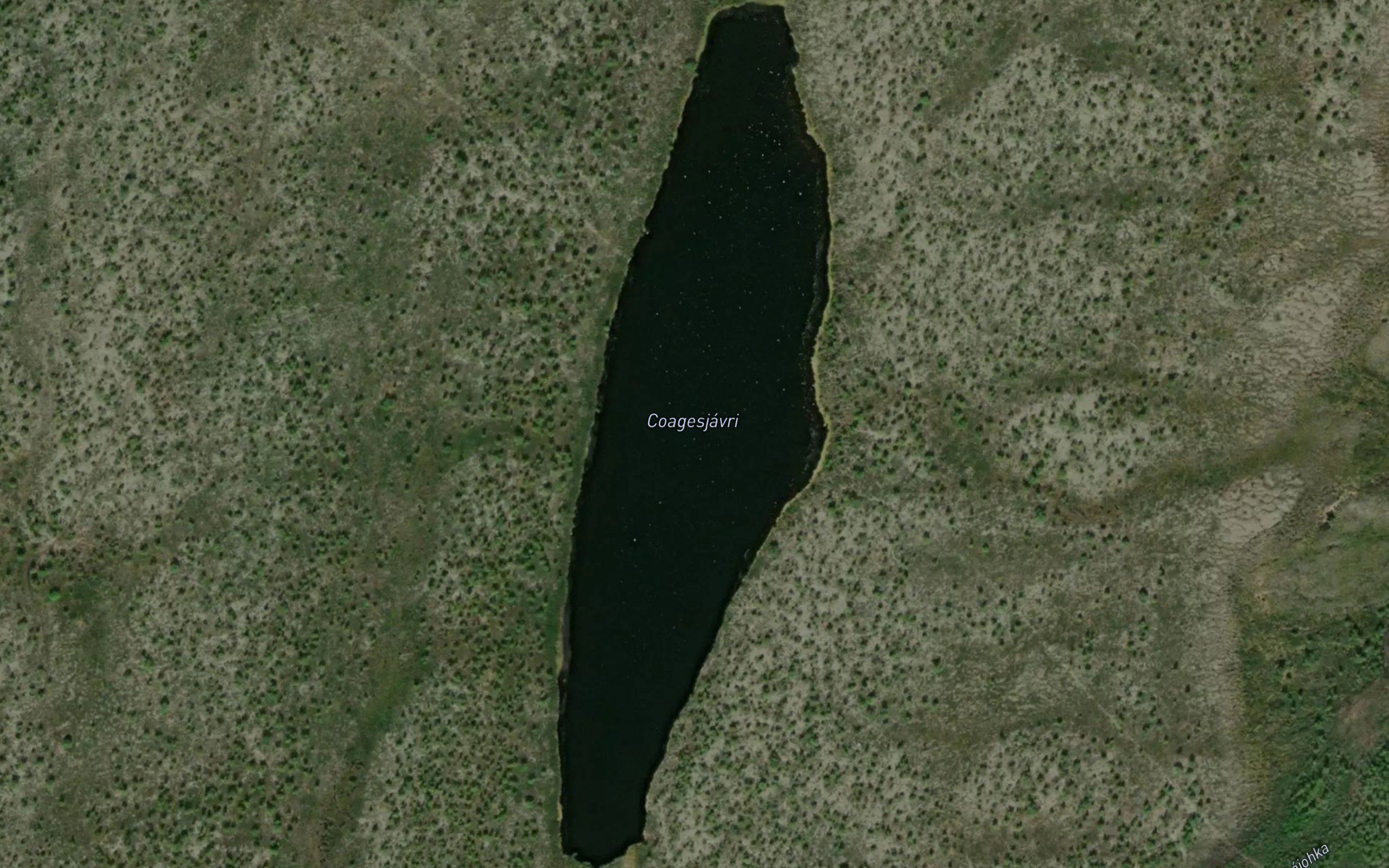 Coagesjavri