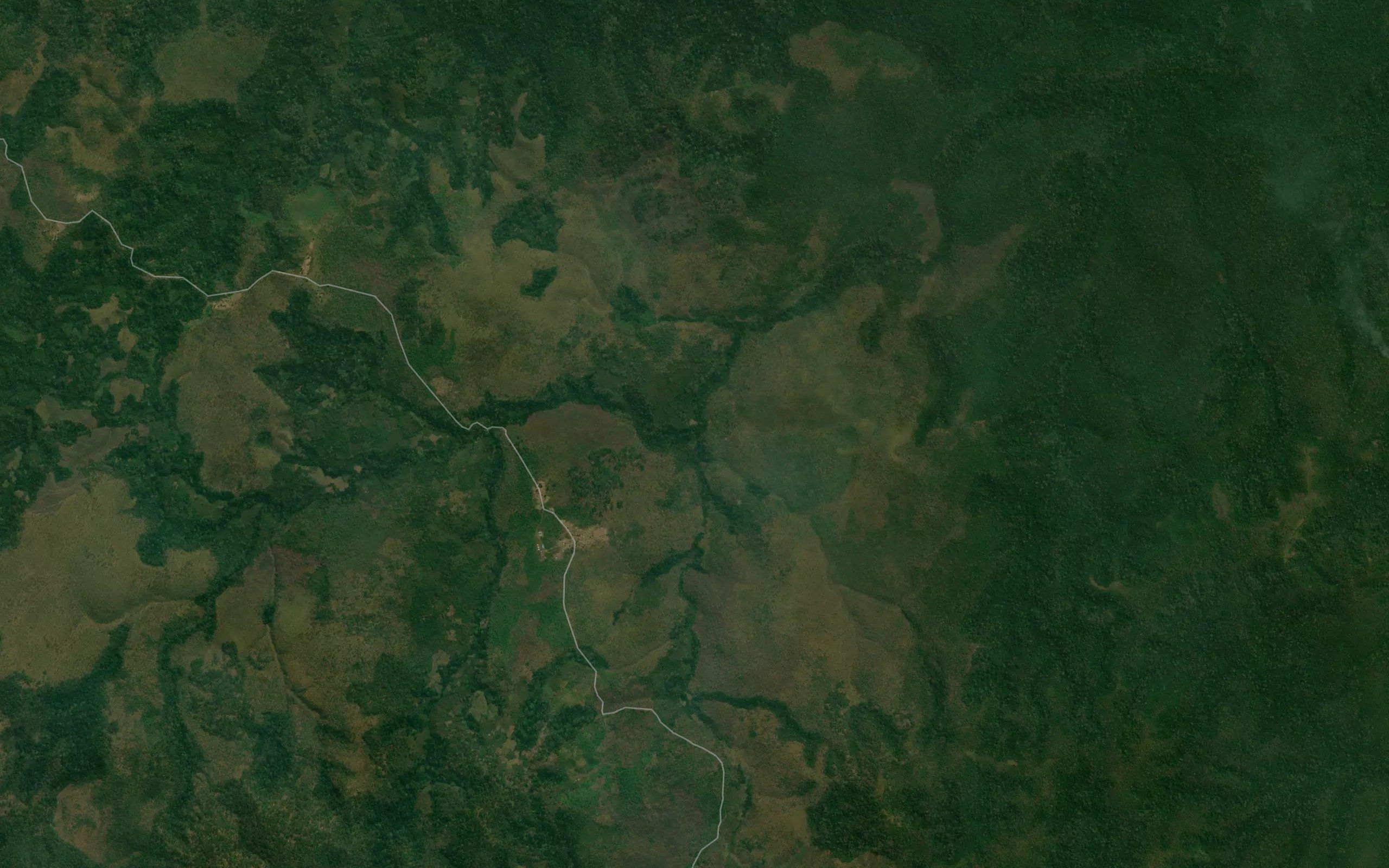 Mbidi