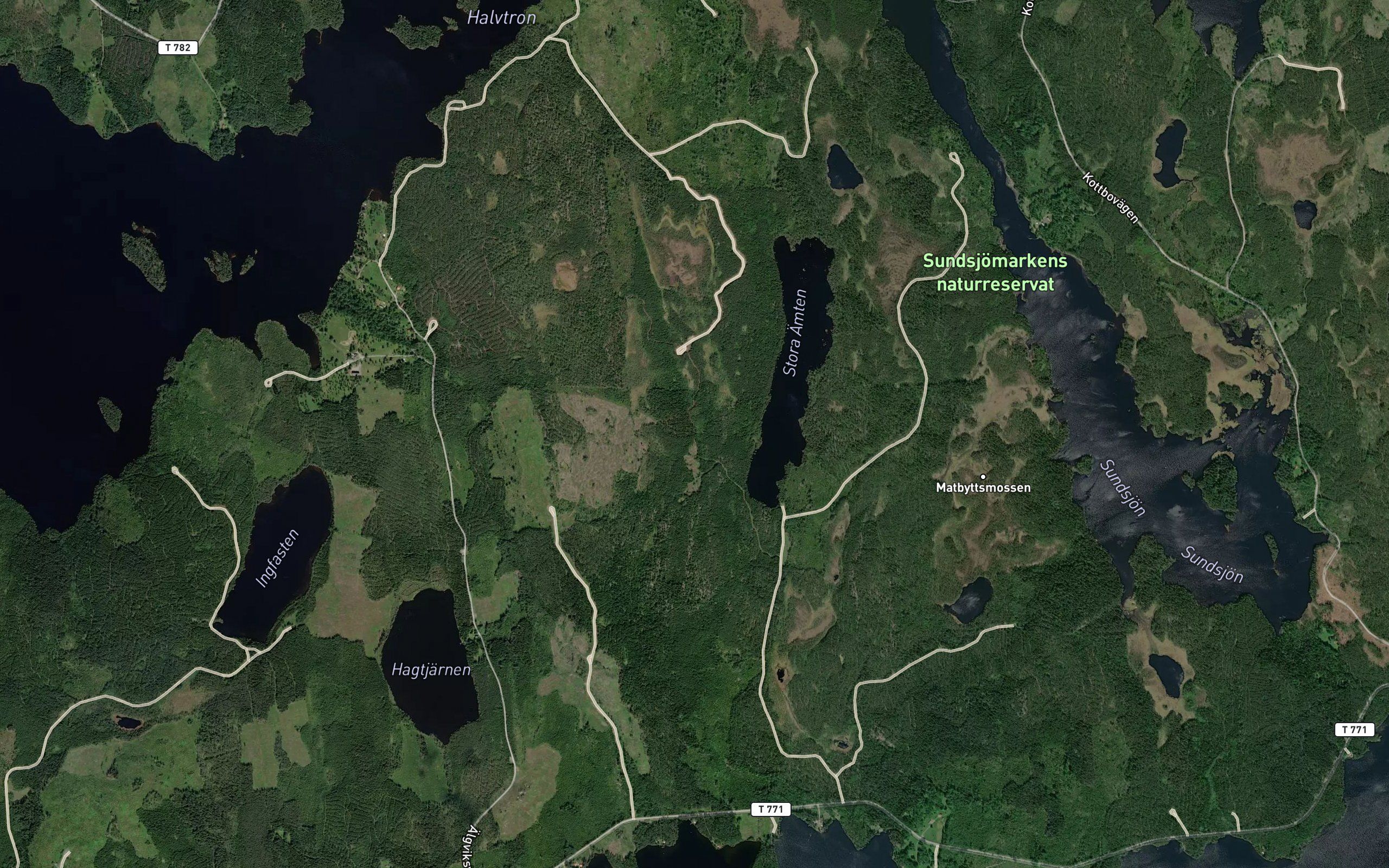Stora Amlen