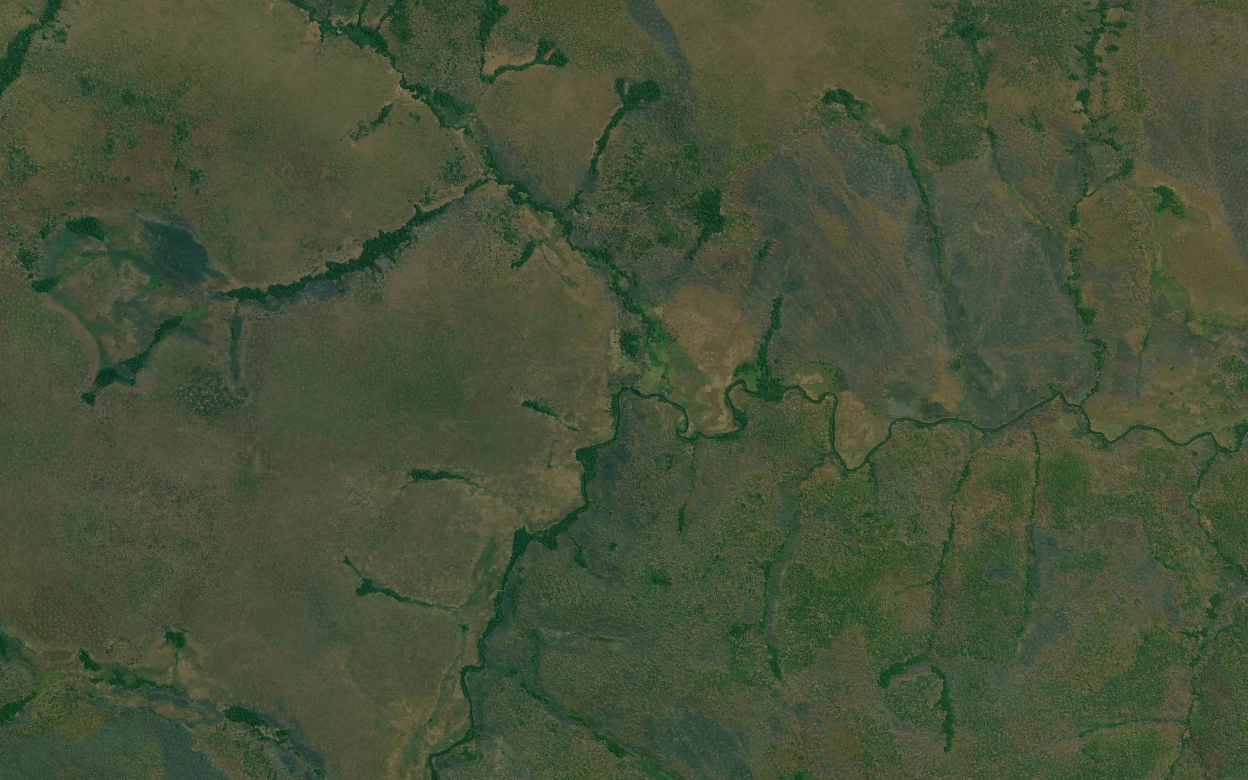 Pweji