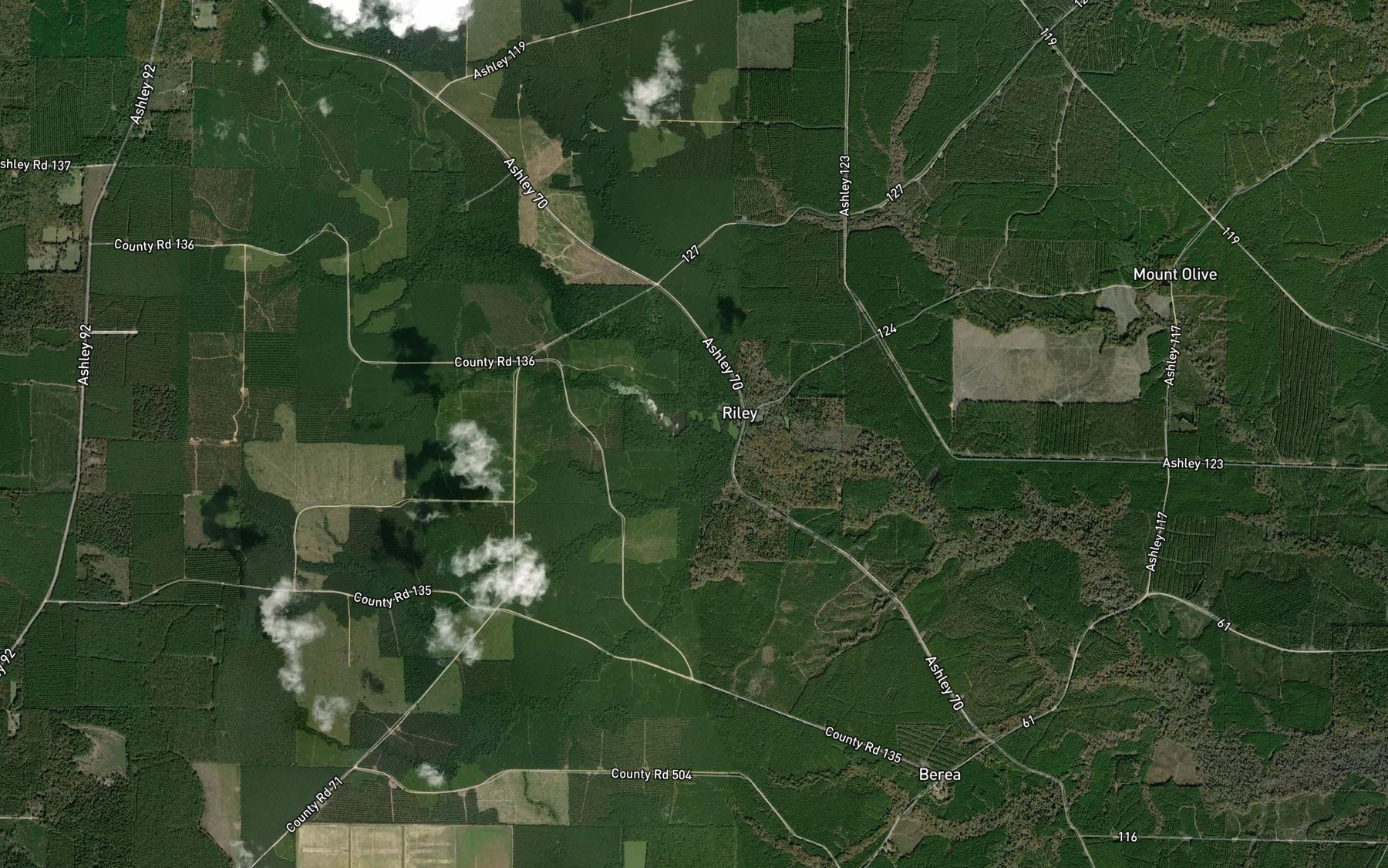 Satellite map of the Riley Lake