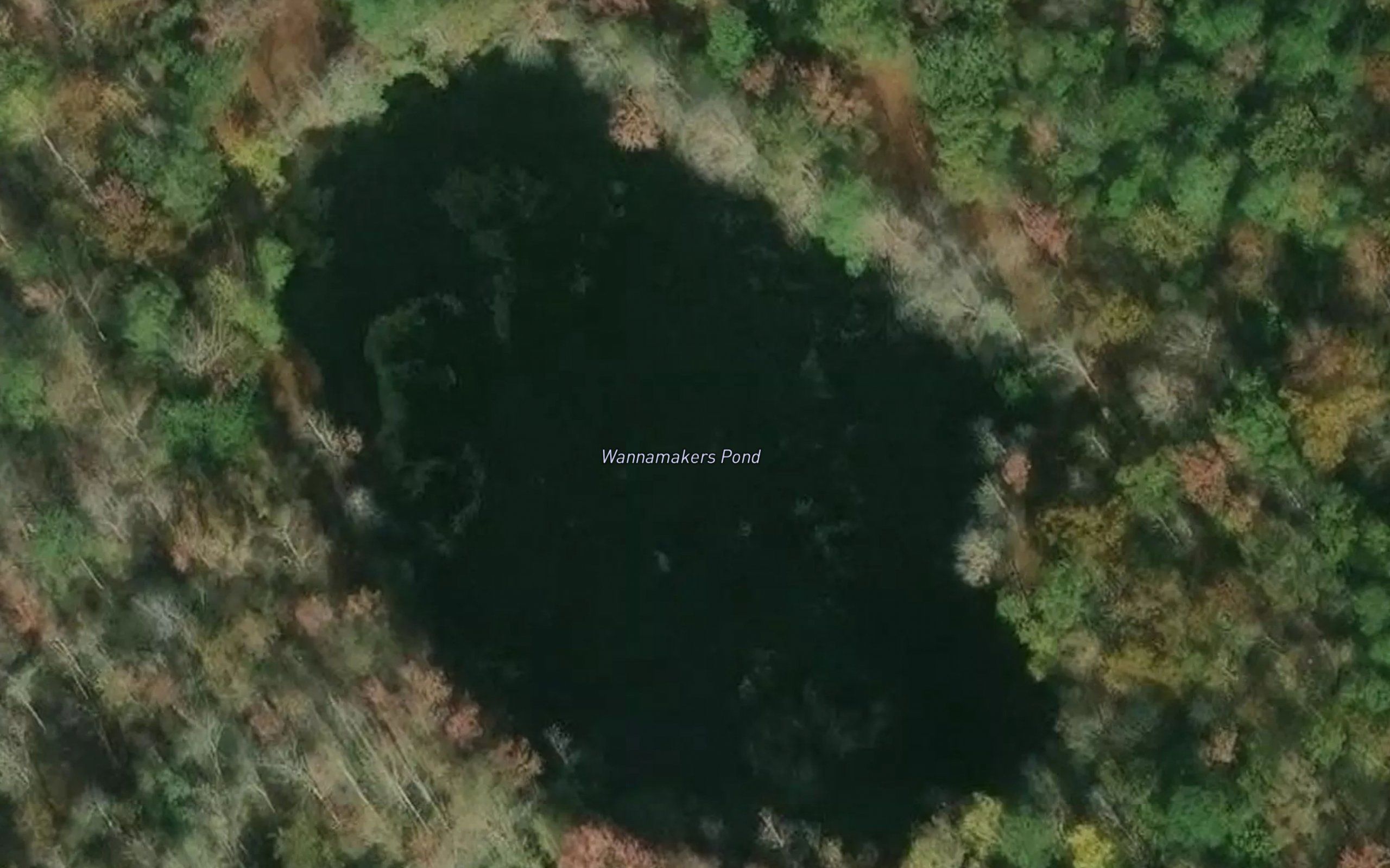 Wannamakers Pond