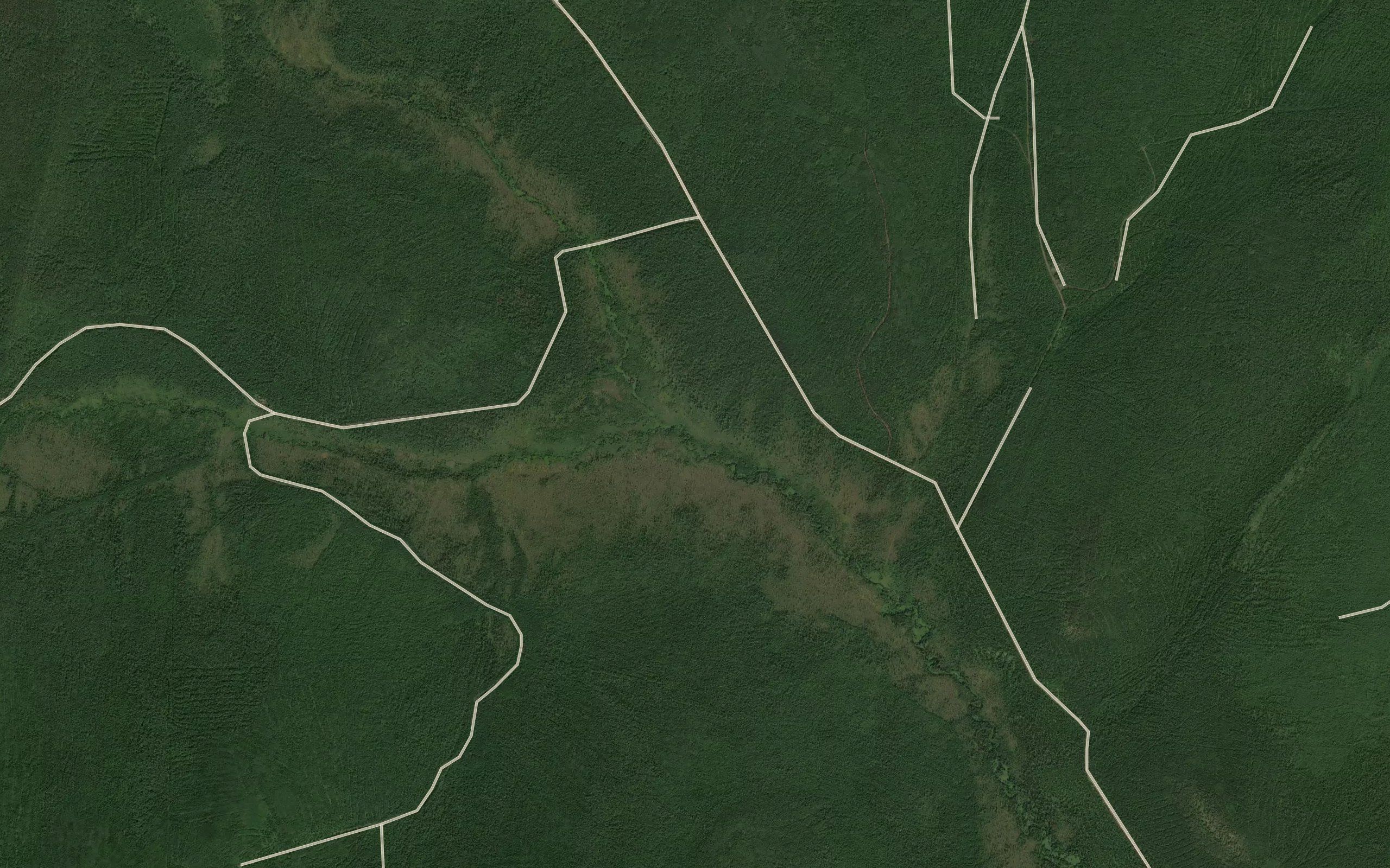 Ognevka