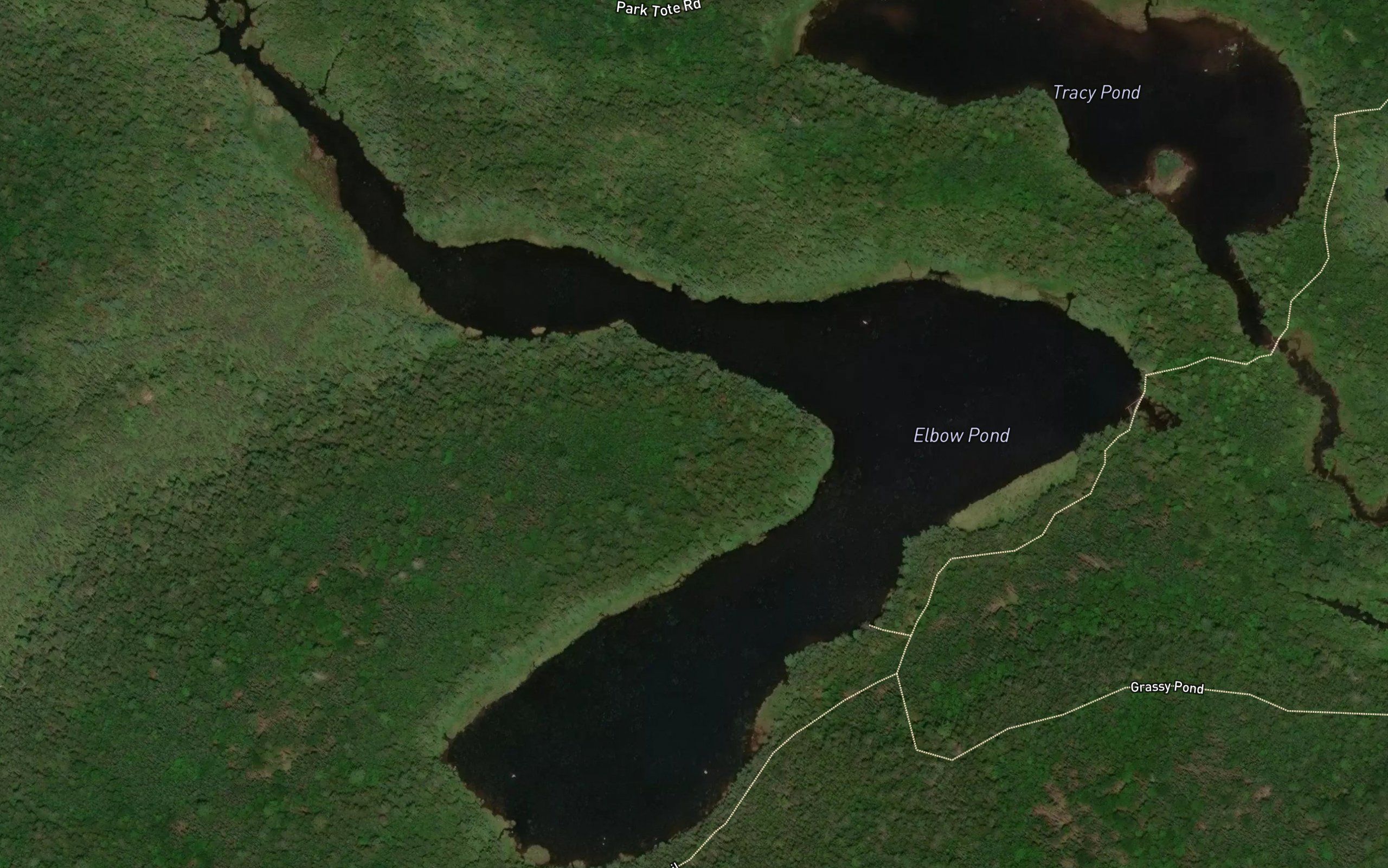 Elbow Pond