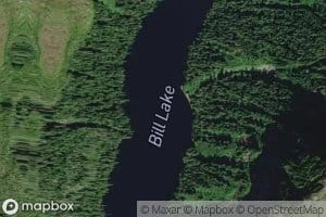 Bill Lake